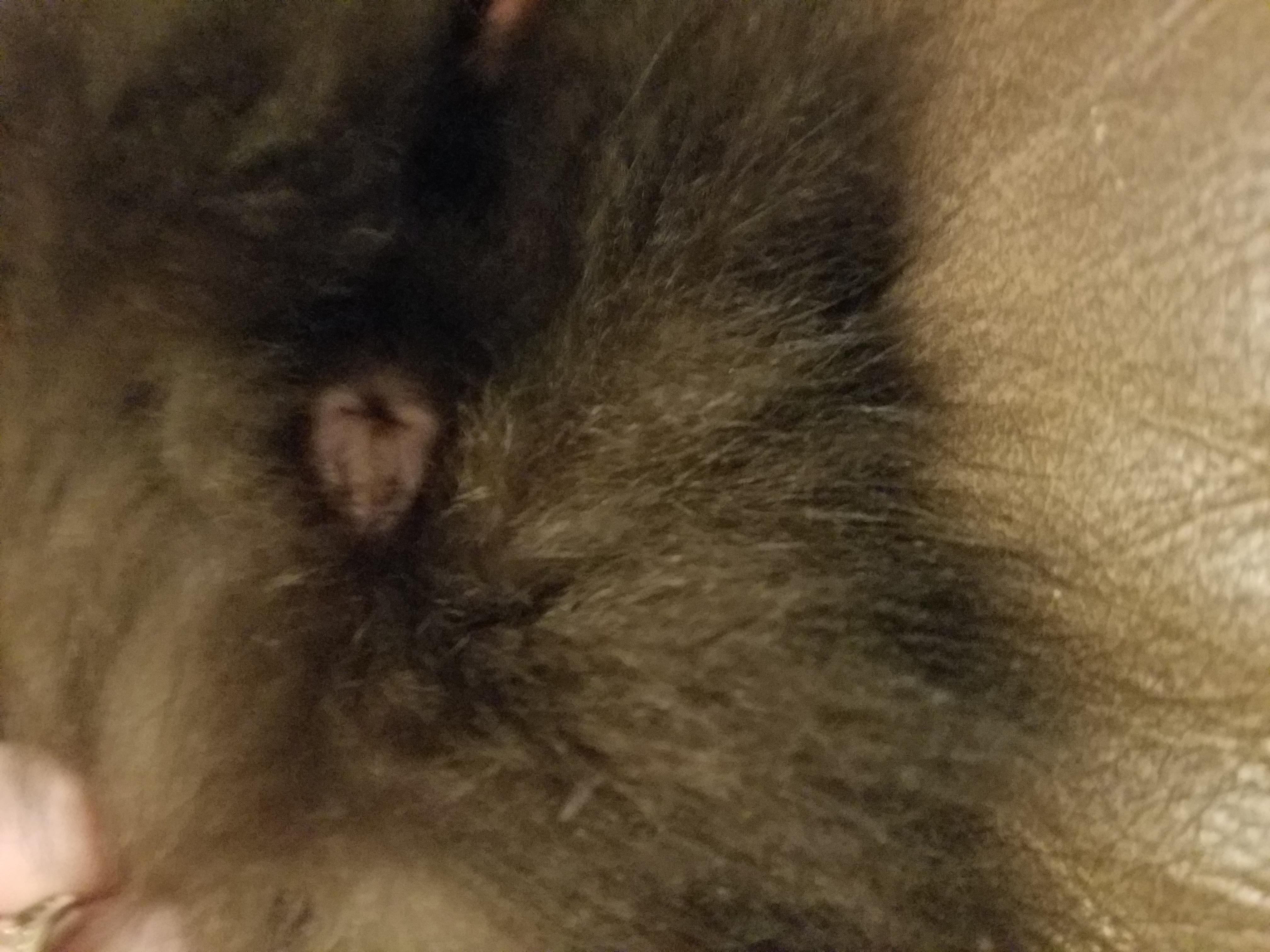 Question details sensitive content