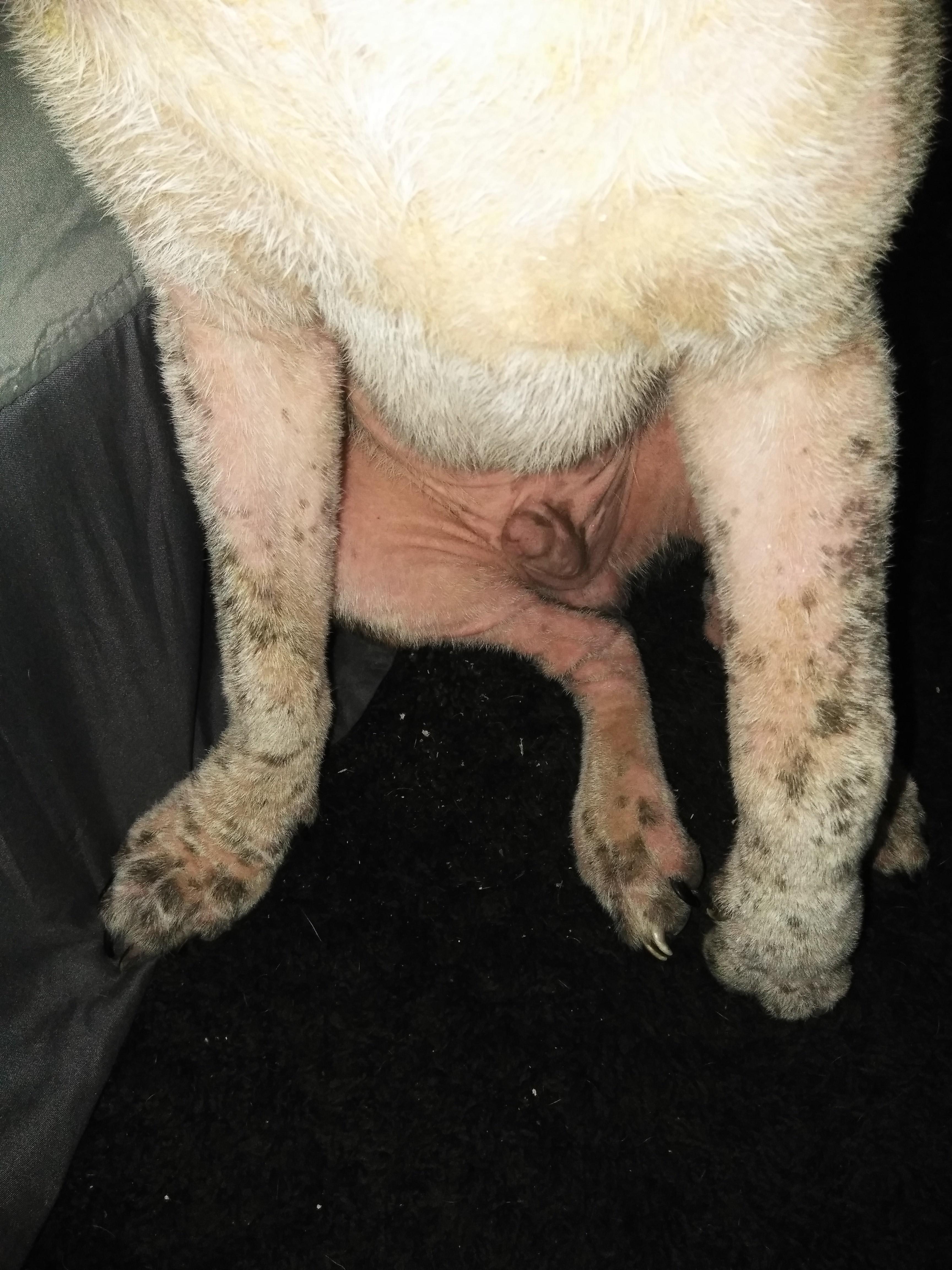 Question details sensitive content