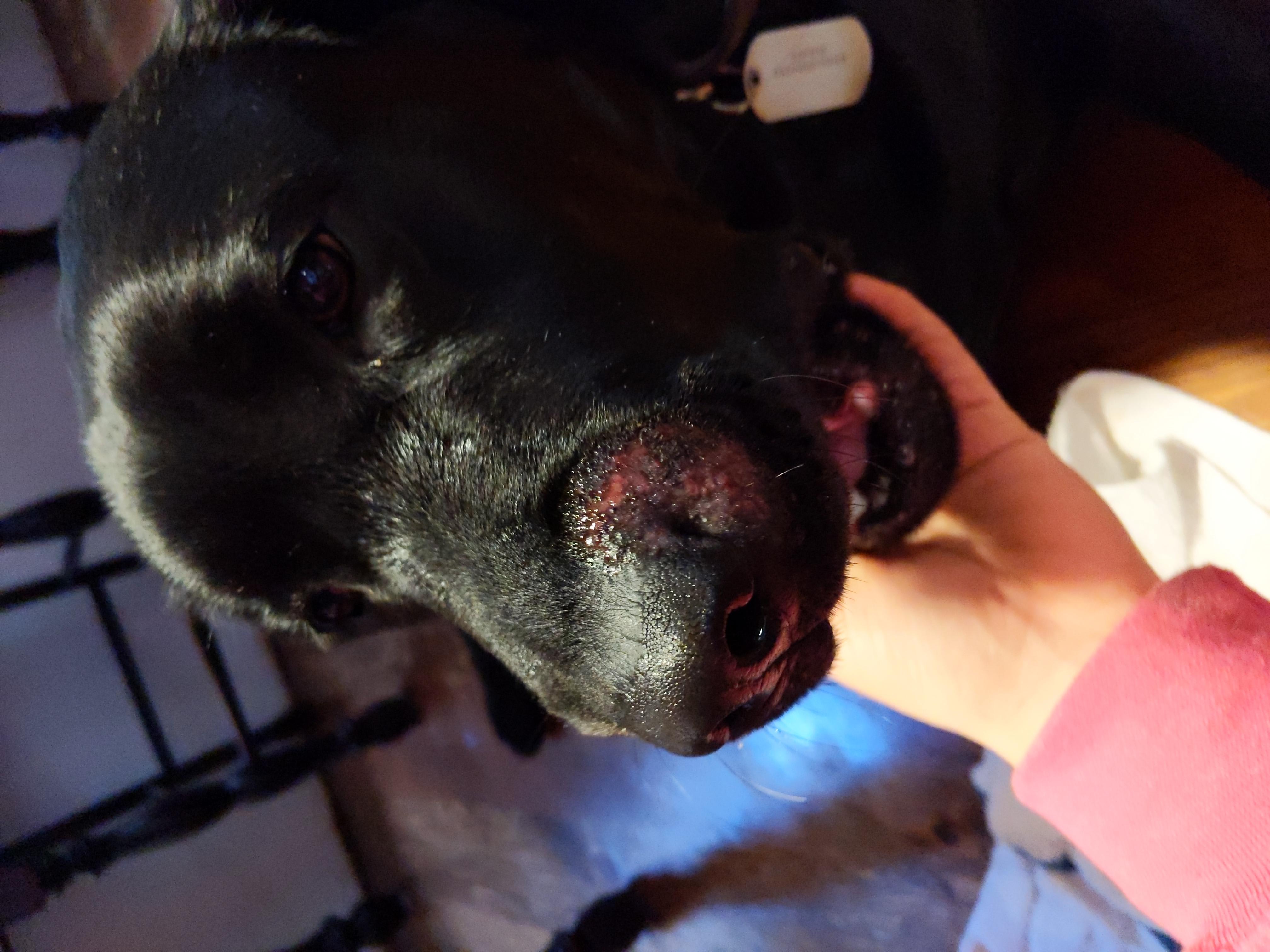 Question details sensitive content