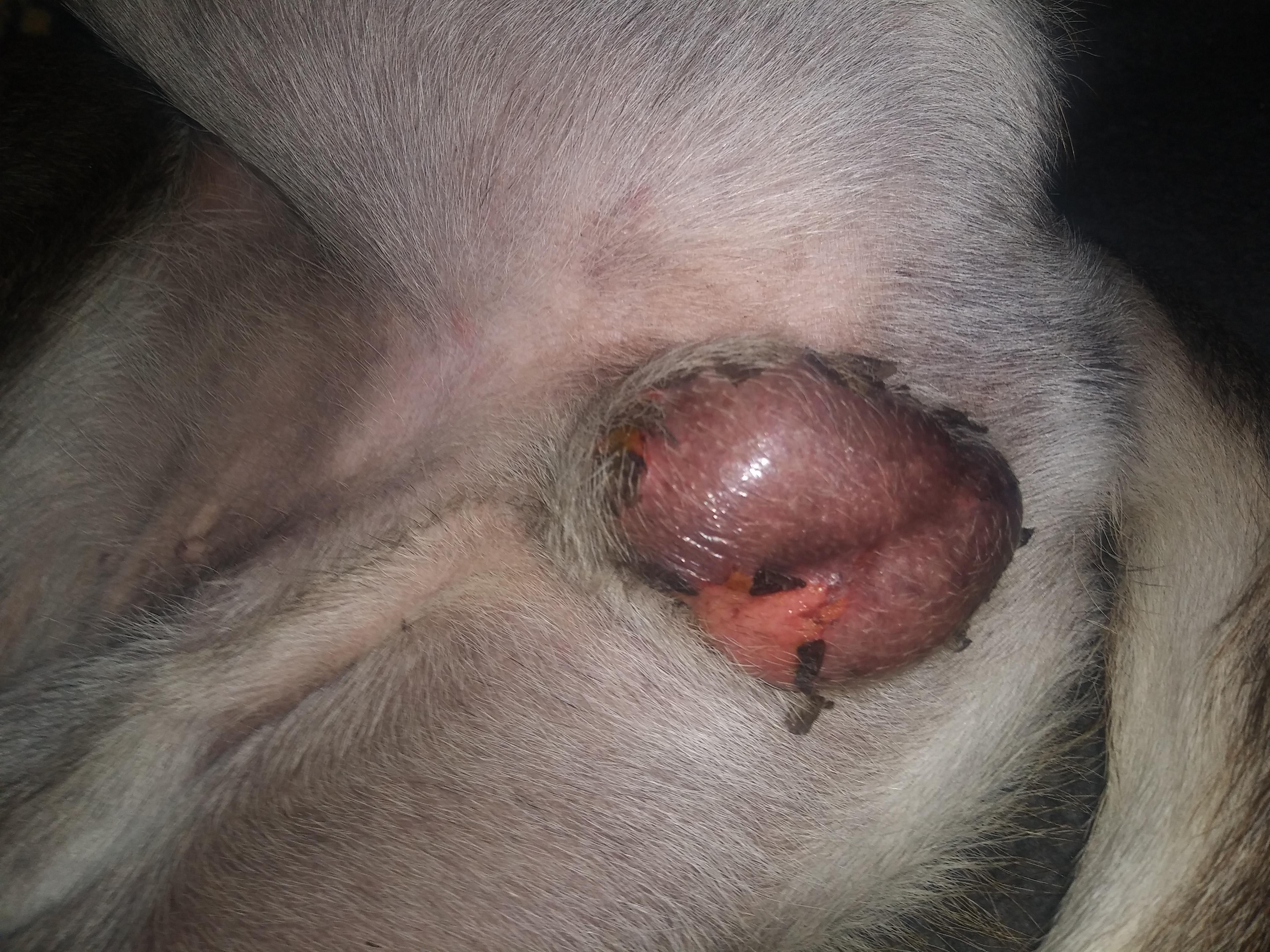 Question details sensitive content