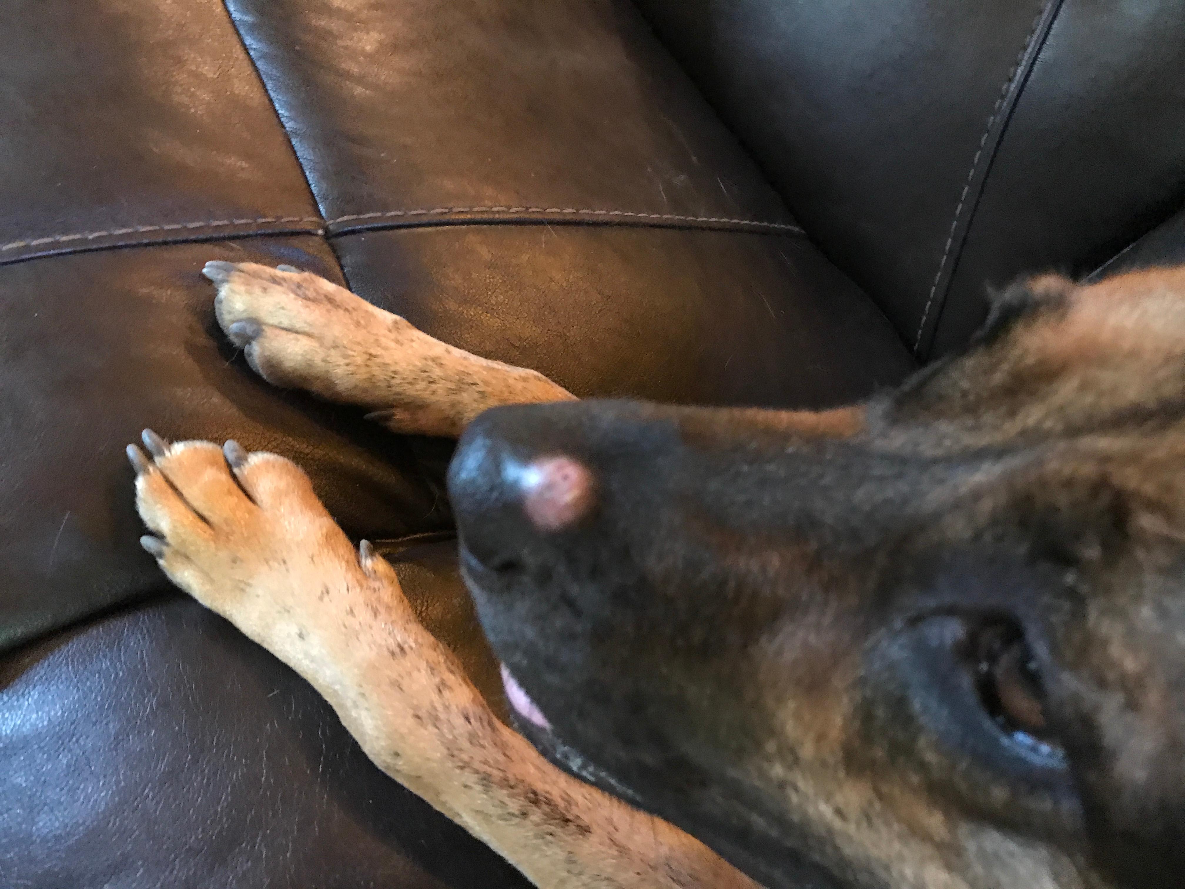 Question details sensitive content