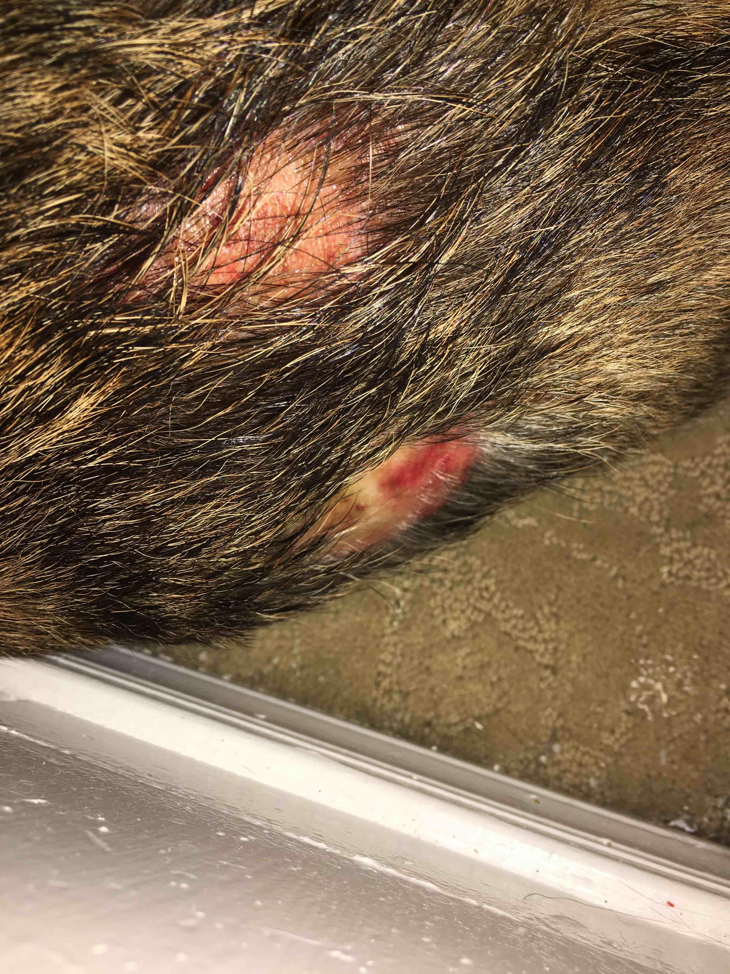 Question details sensitive content