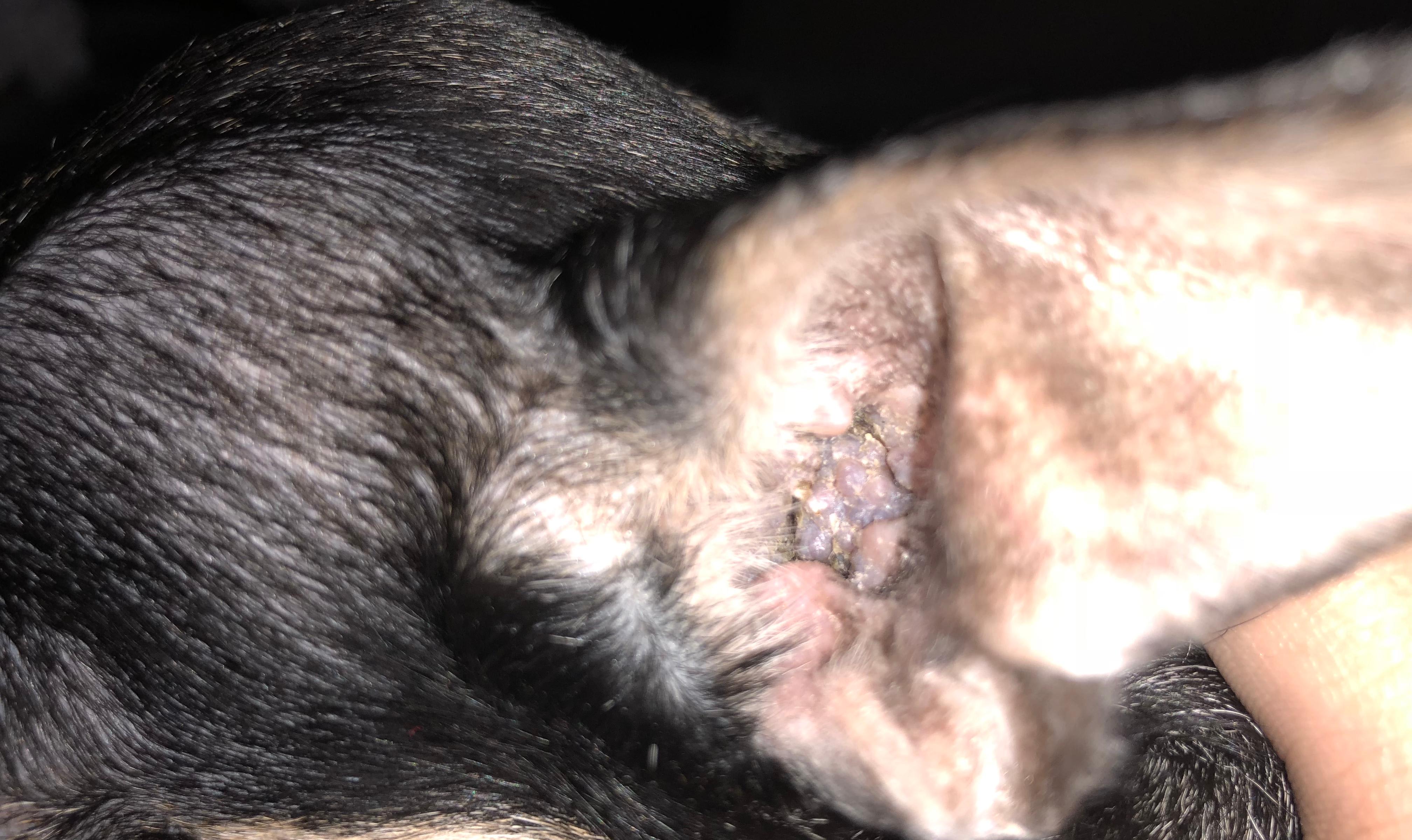 Question details sensitive content