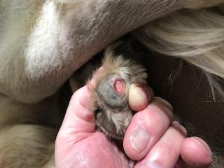 Question details sensitive content