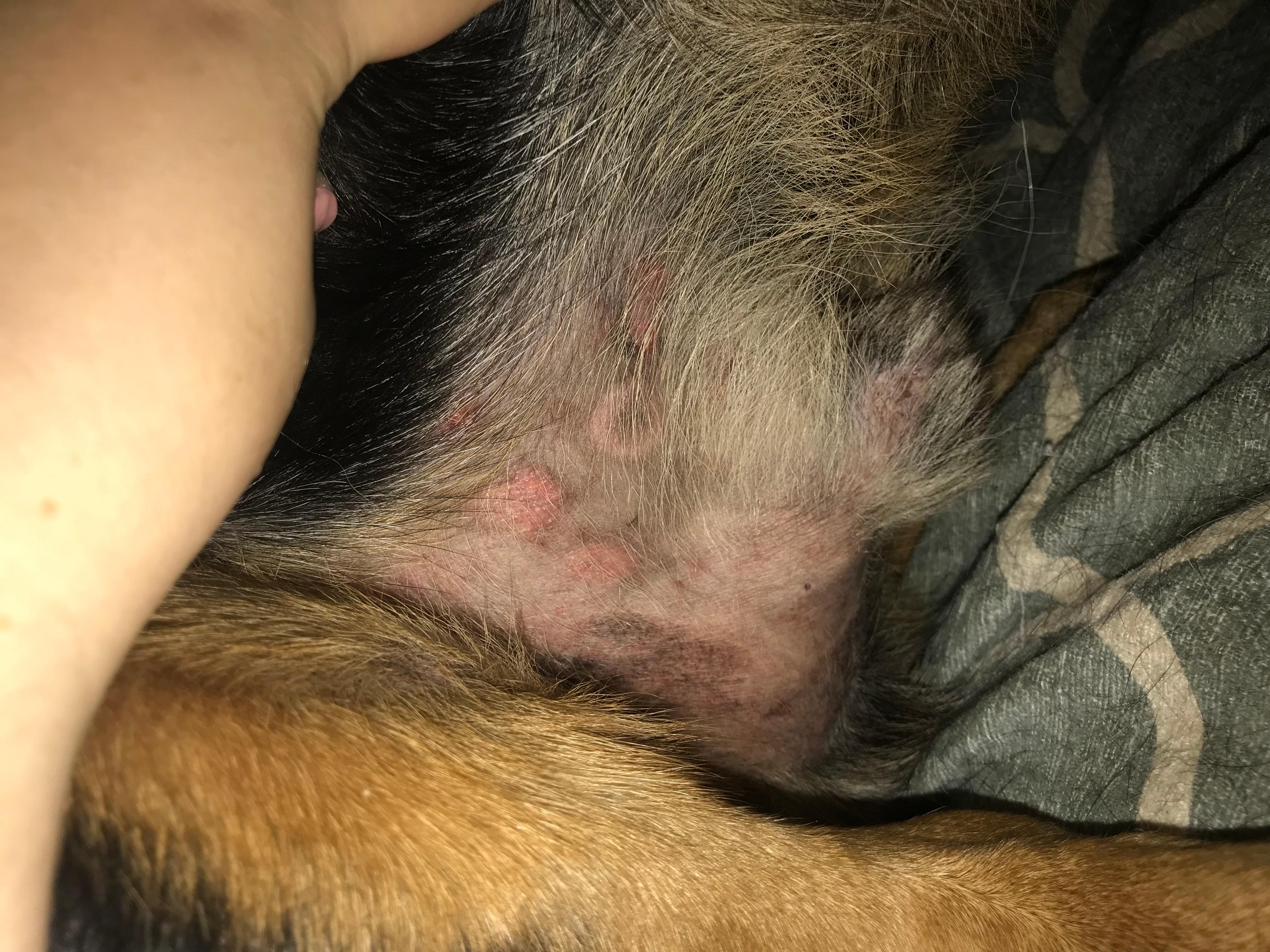 Question details sensitive content