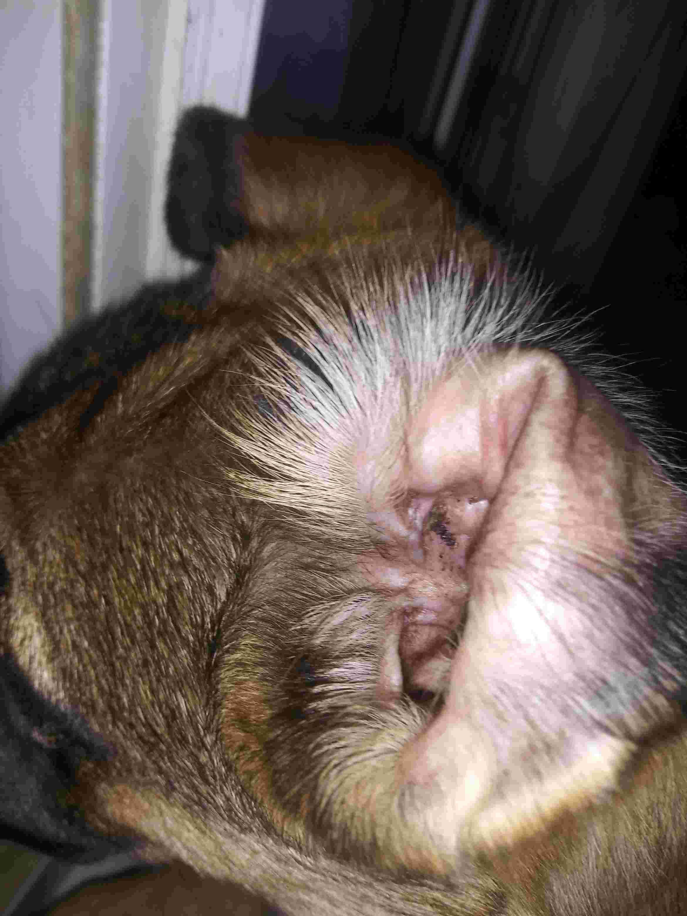 Question details sensitive content