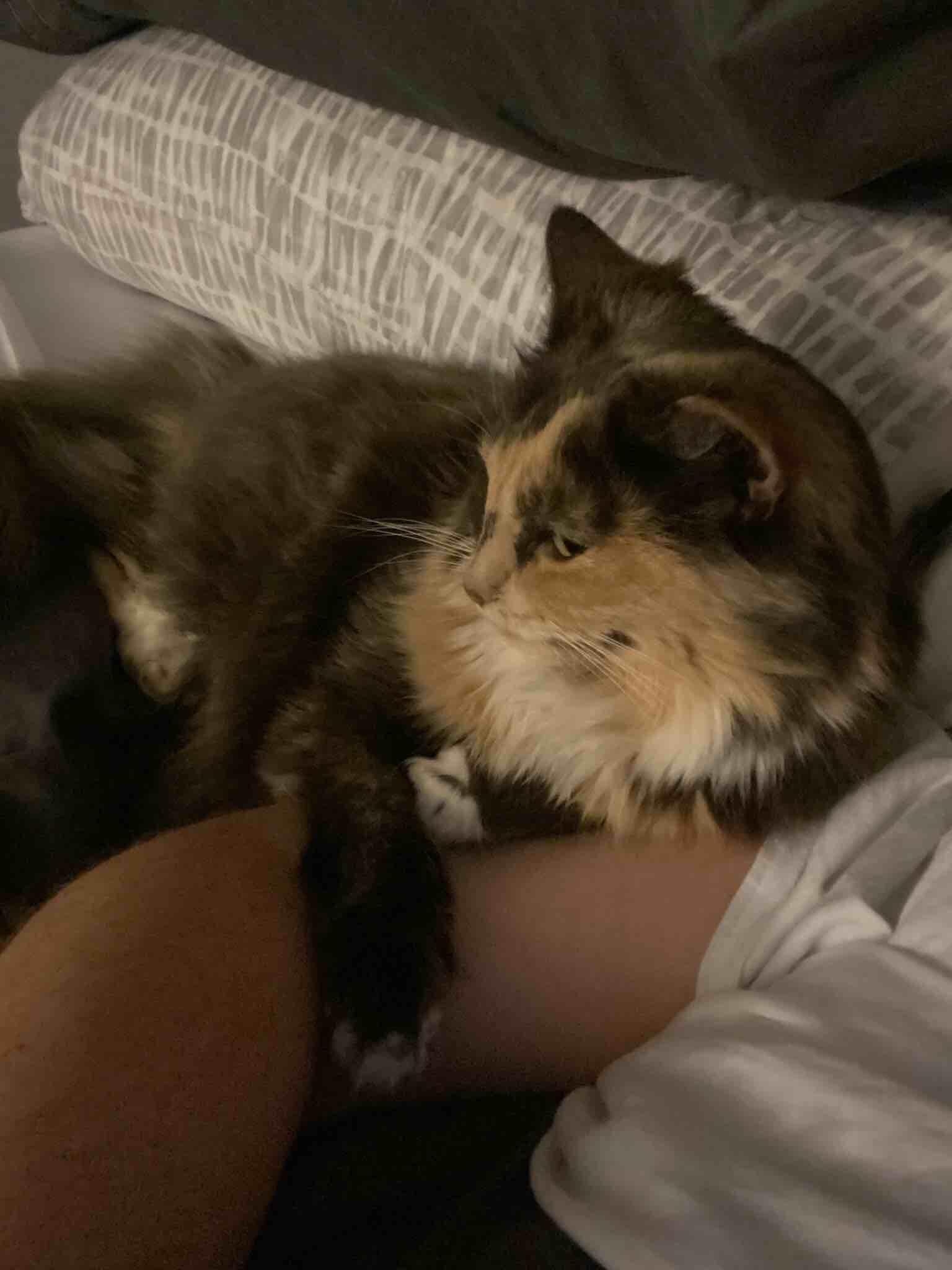 Question details sensitive content