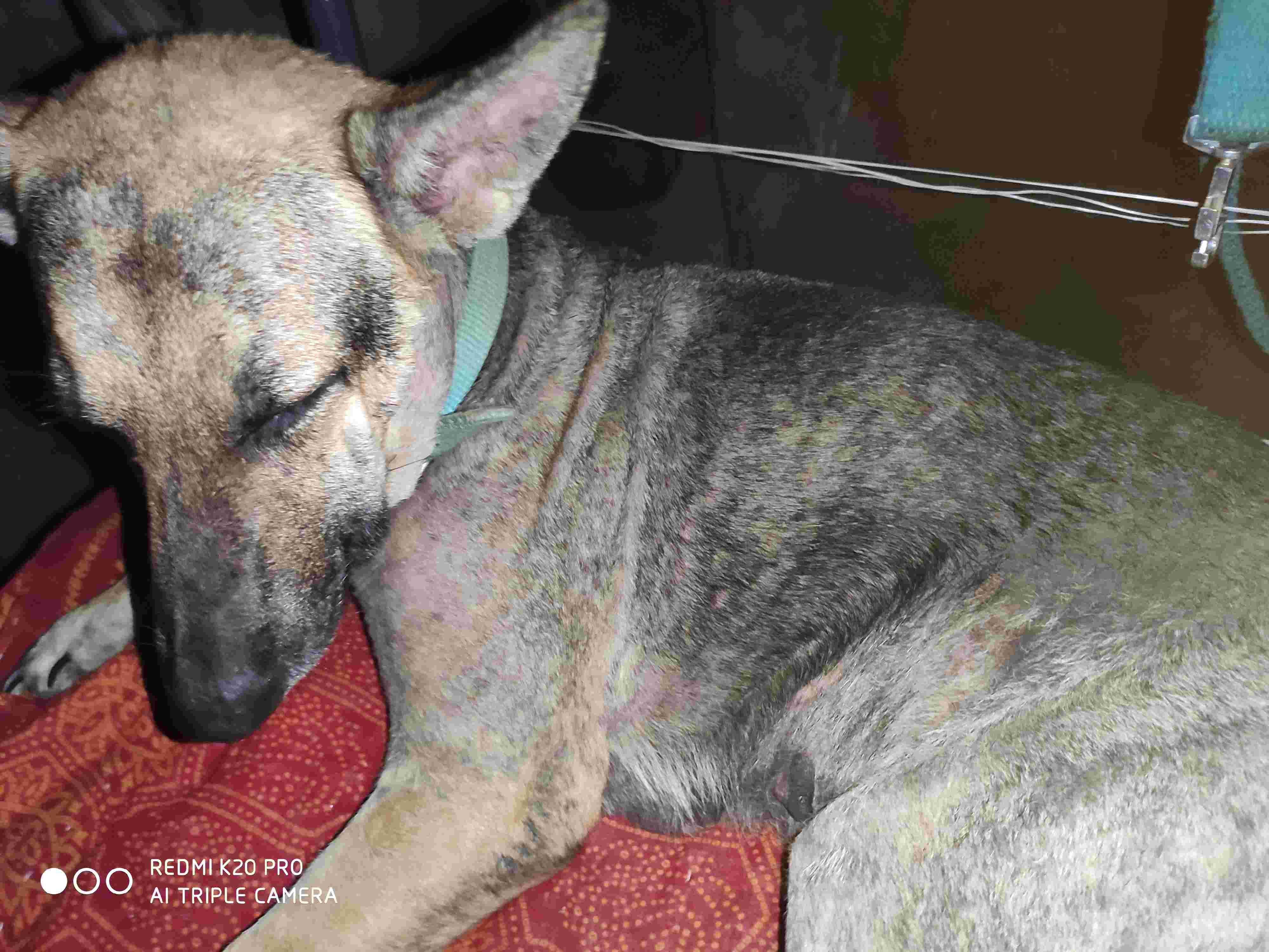 Question details sensitive content