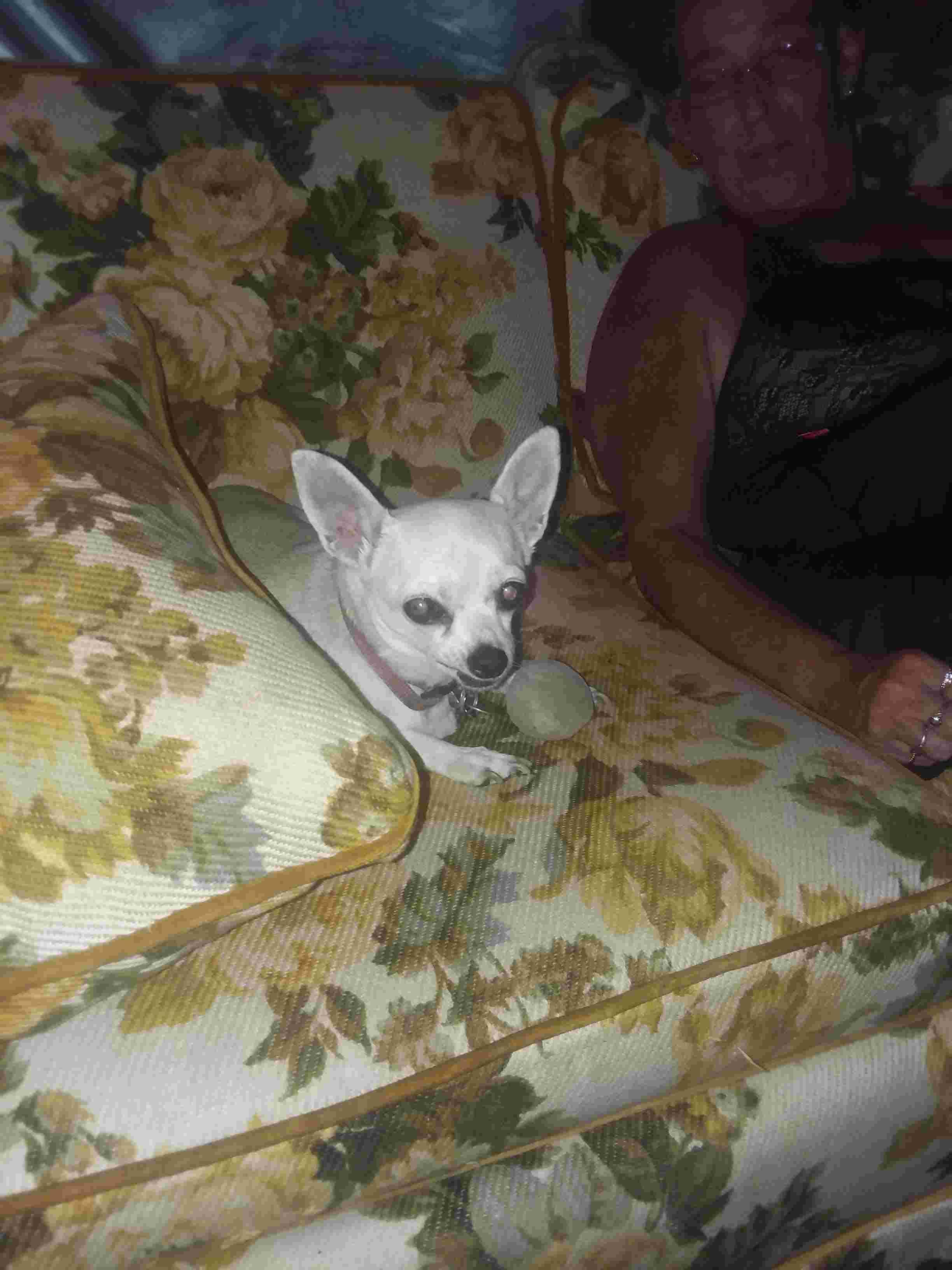 Question details sensitive content