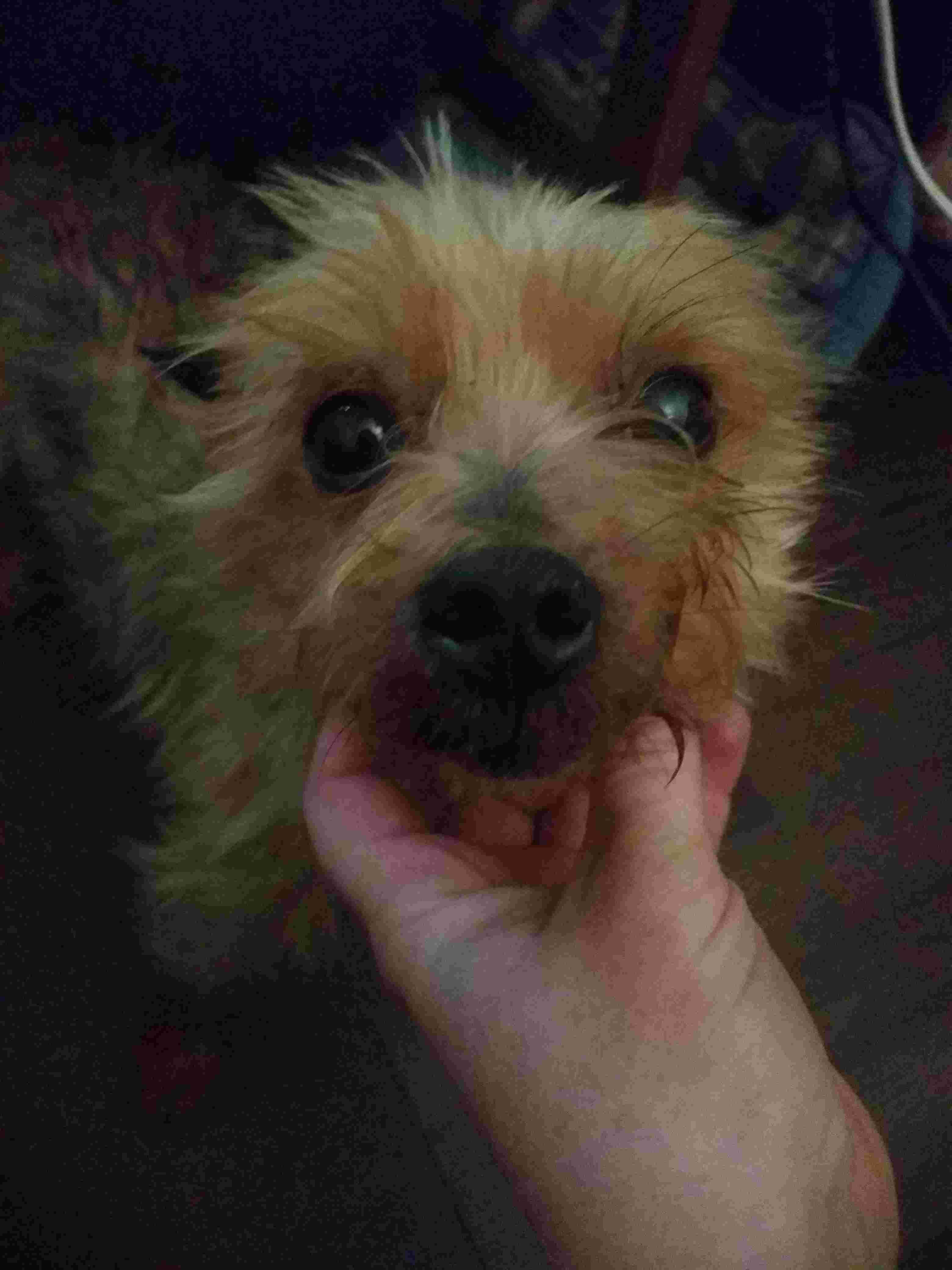 Question details sensitive content