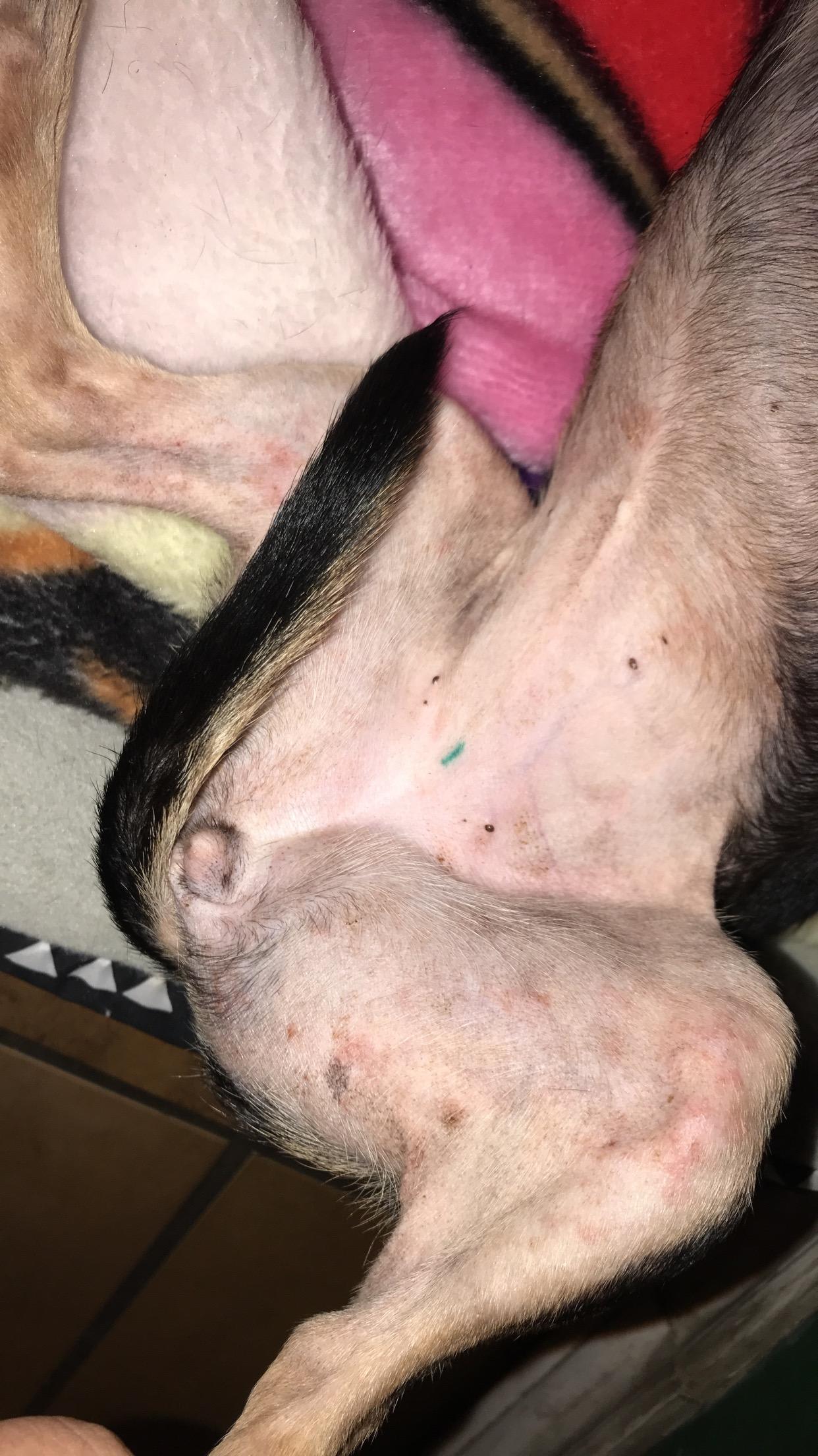 Question details sensitive content