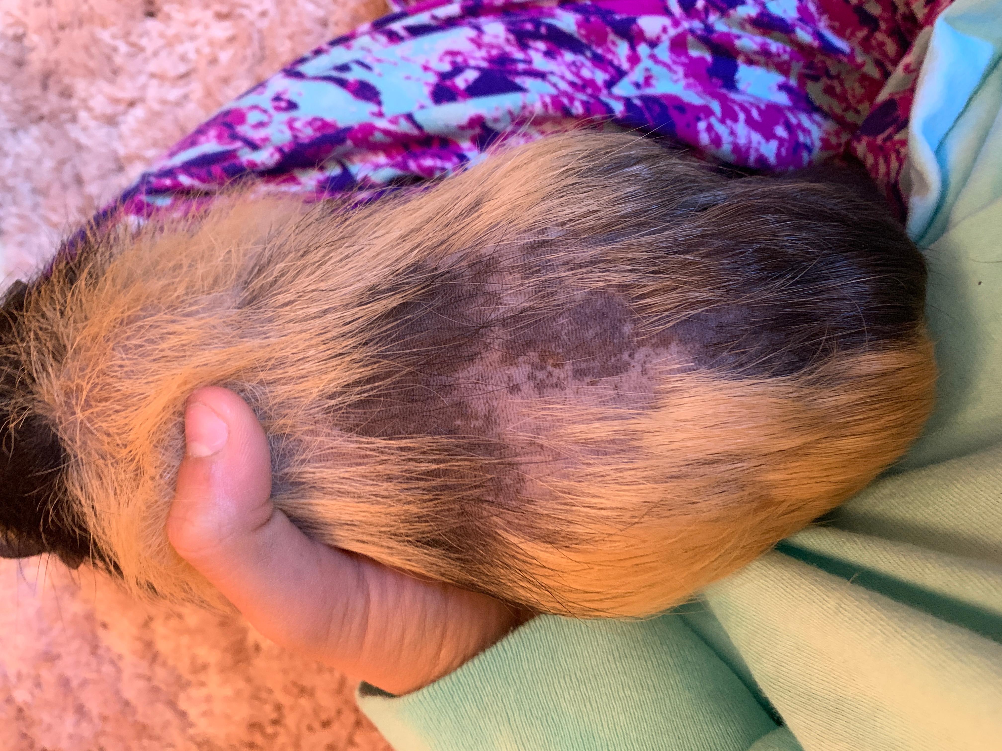 Question details sensitive content