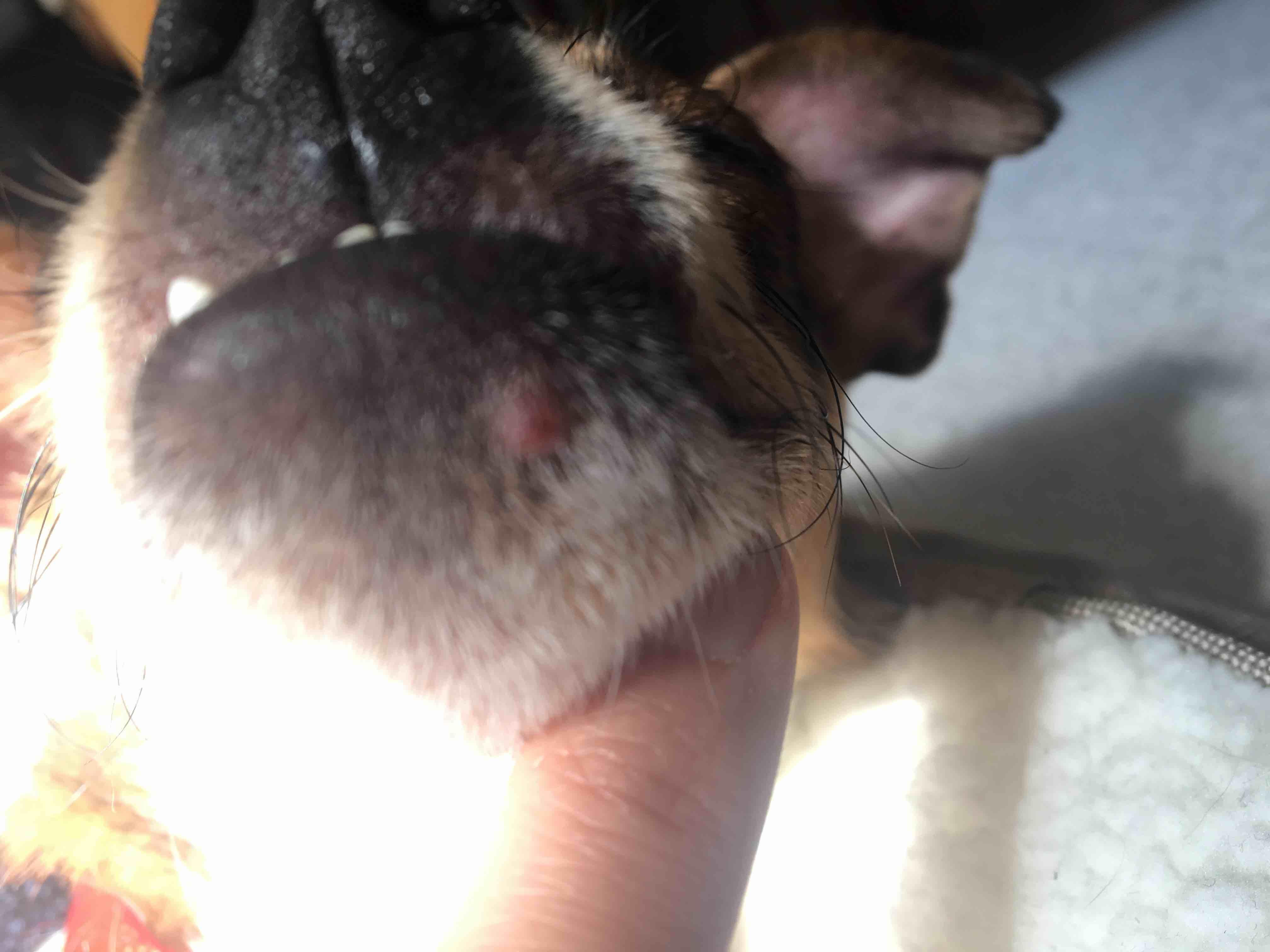 Question details sensitive content