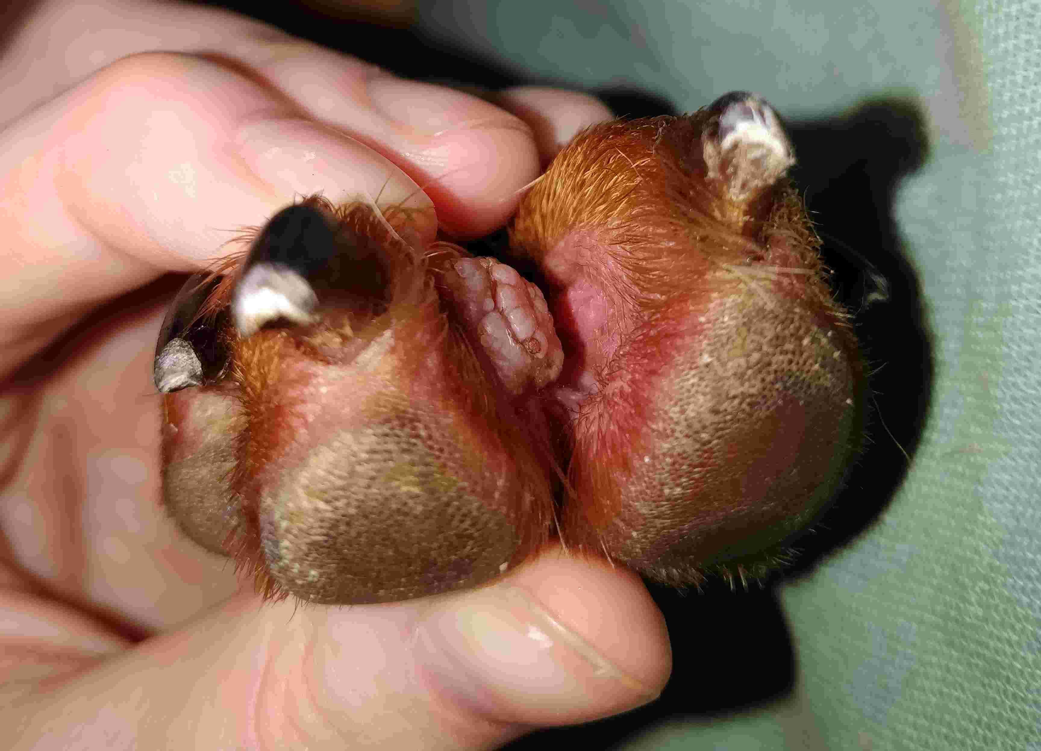 Question details sensitive content