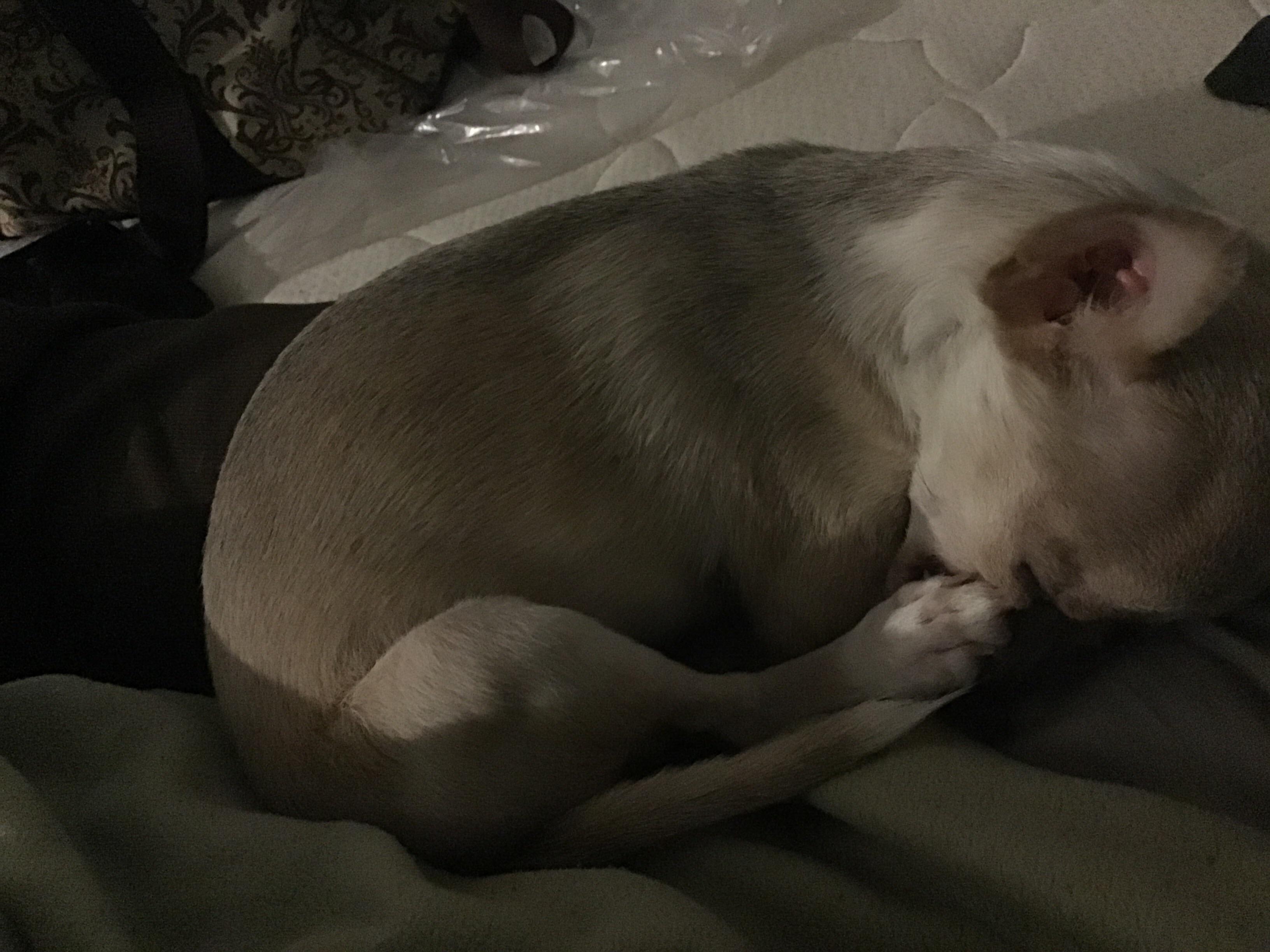 Question details sensitive content