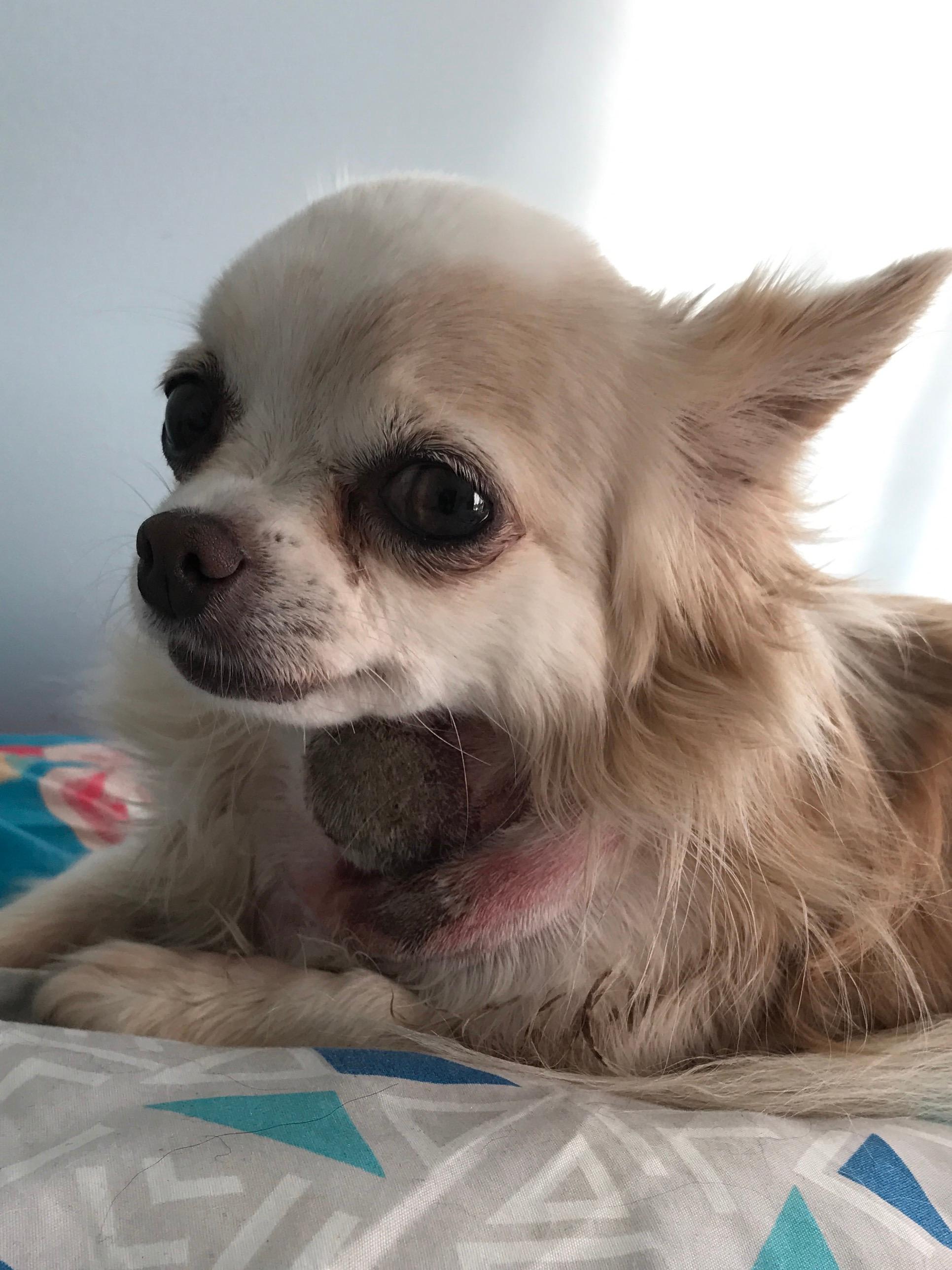 Question details sensitive content