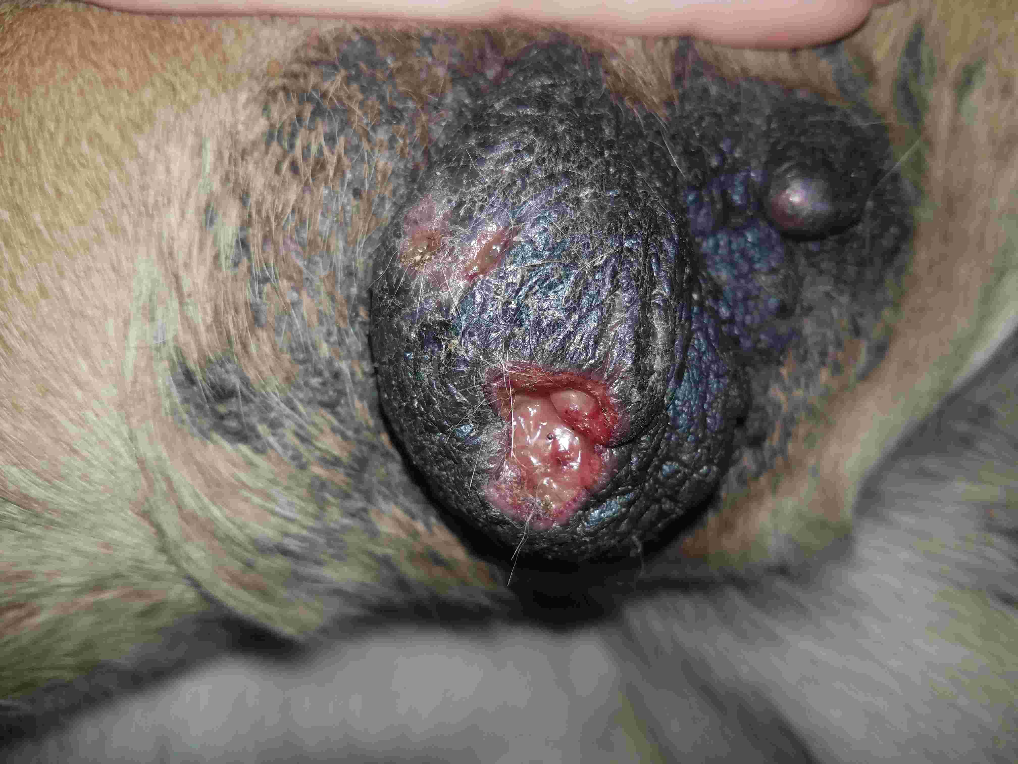 Question details sensitive content