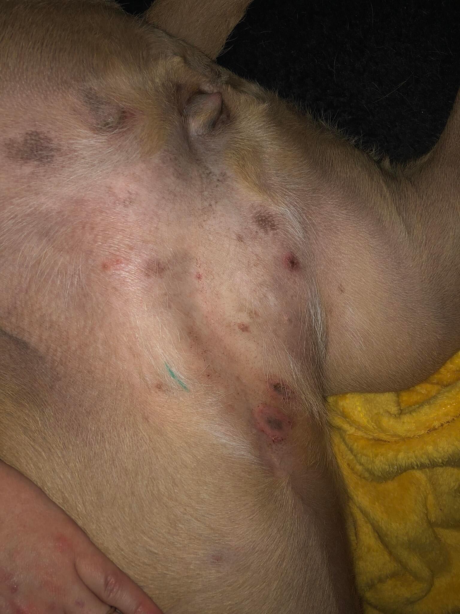 Question details sensitive content