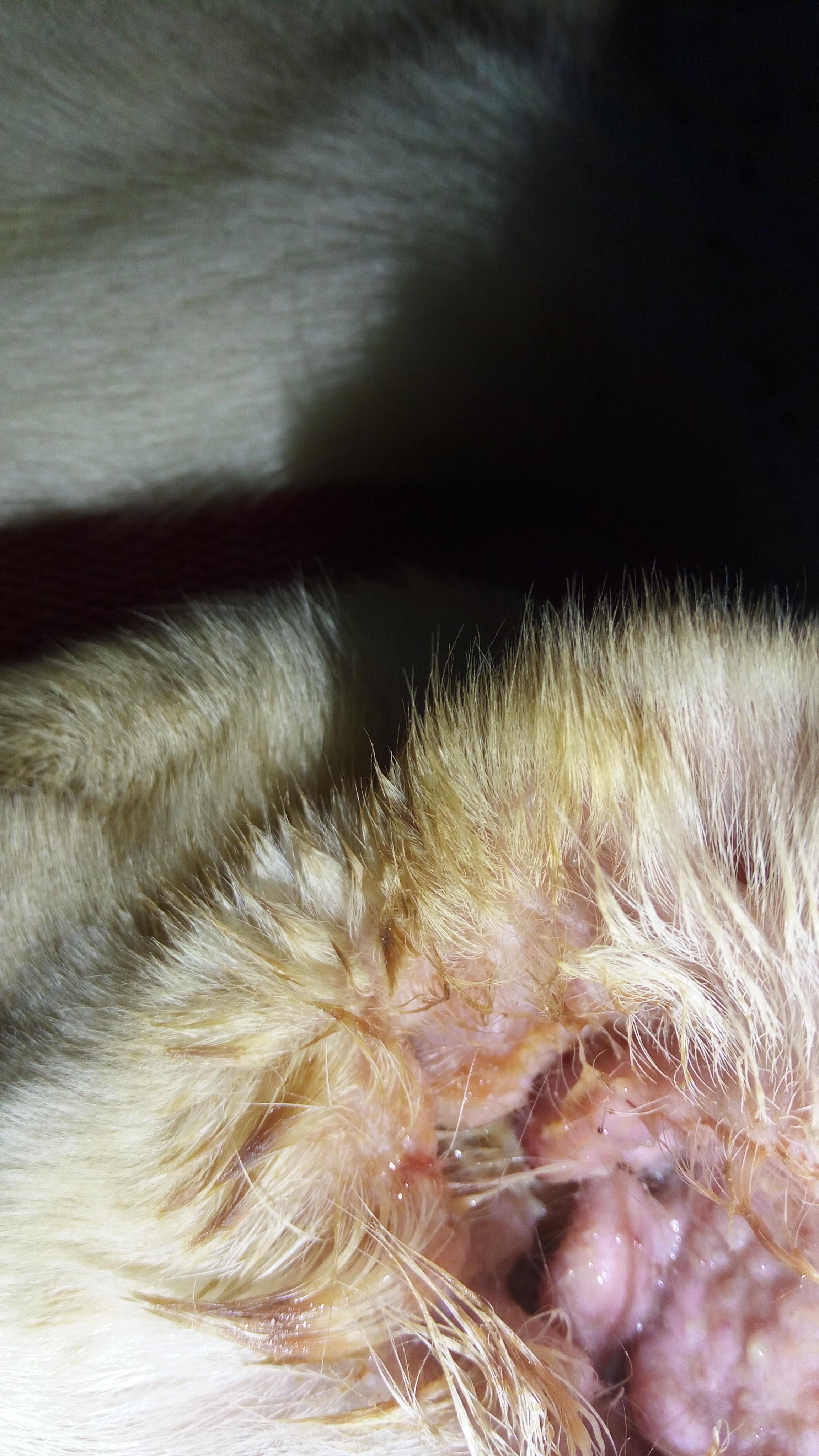 Question details sensitive content