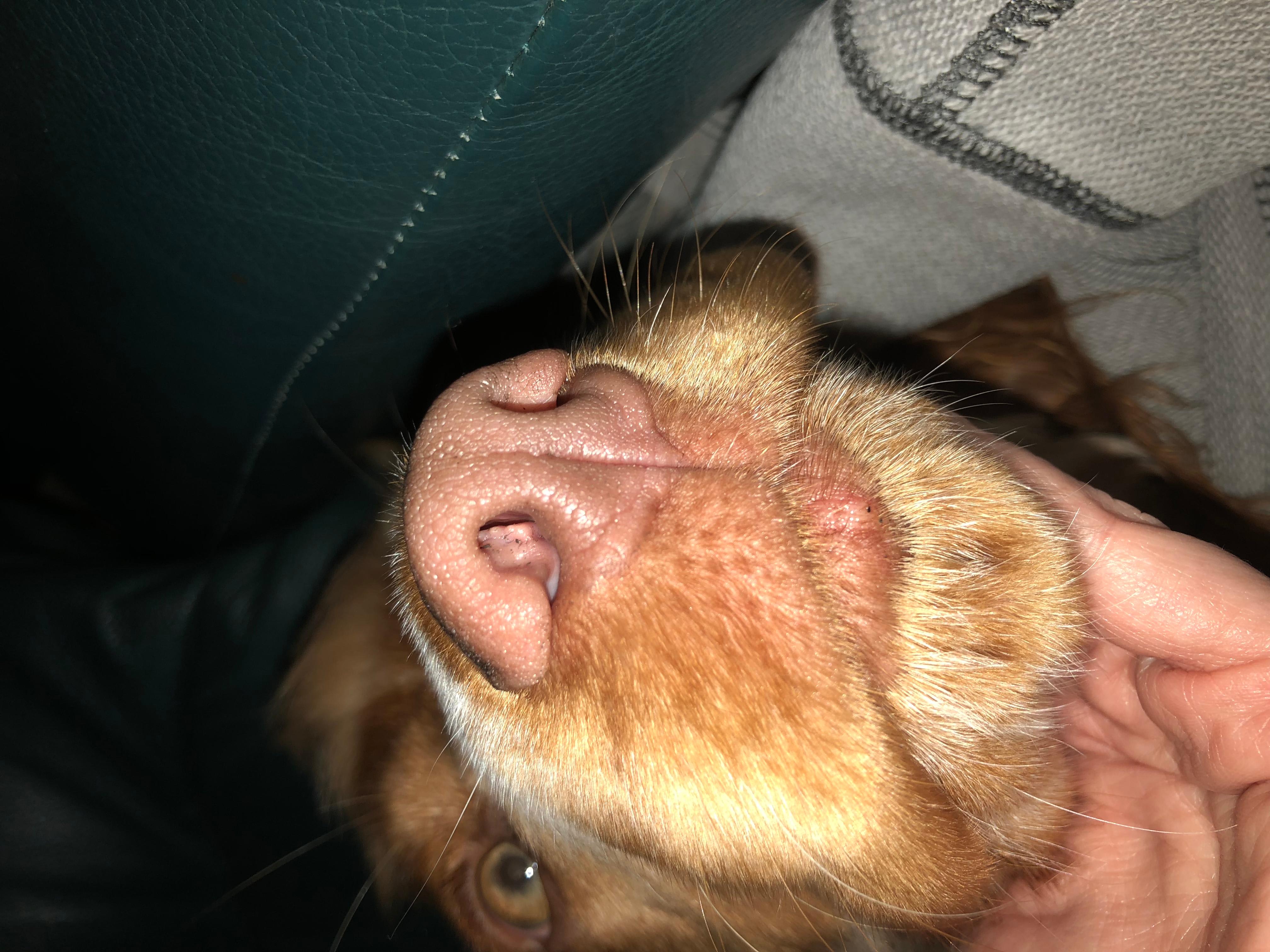 Question details sensitive content