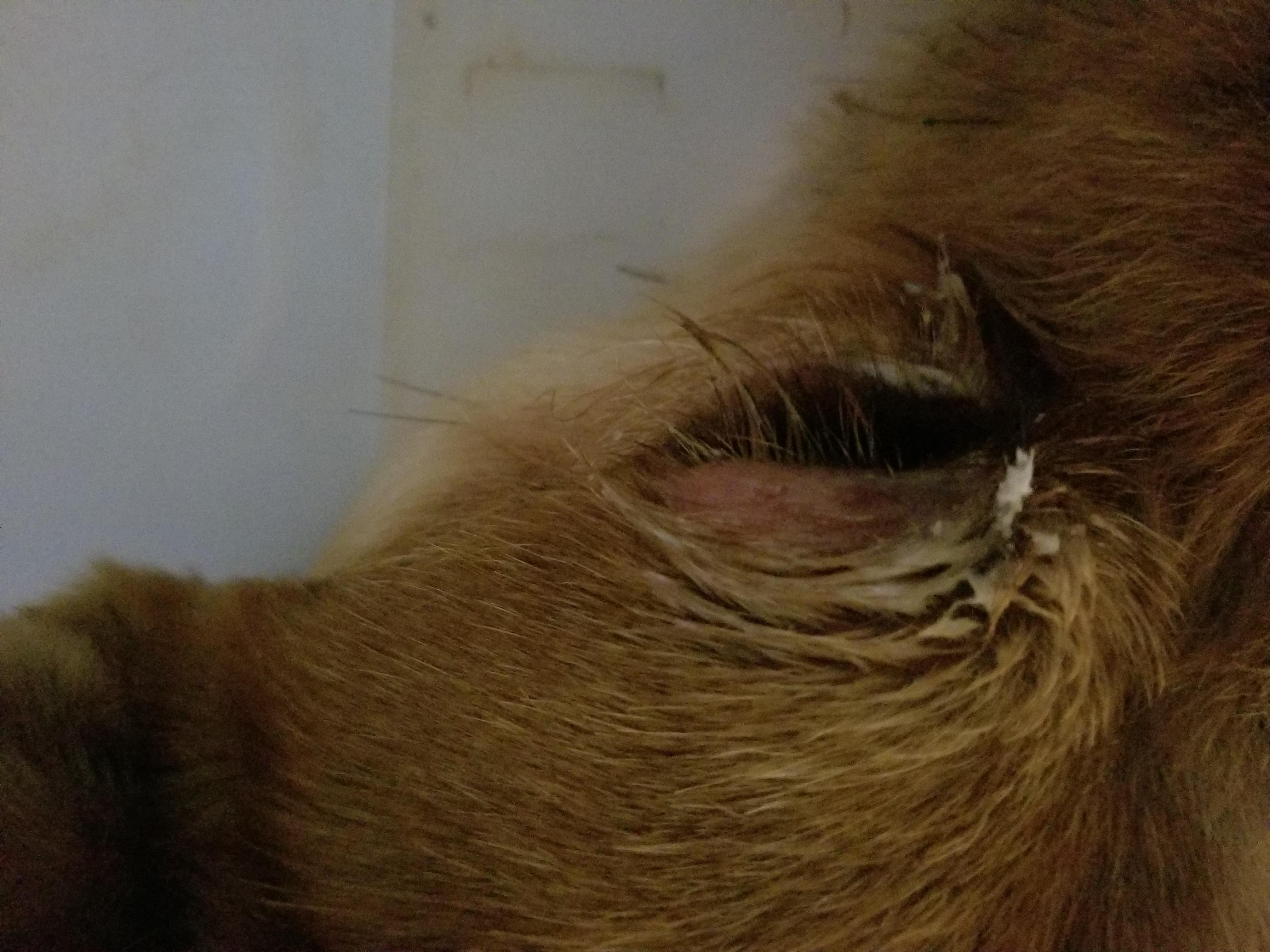 Question details sensitive content