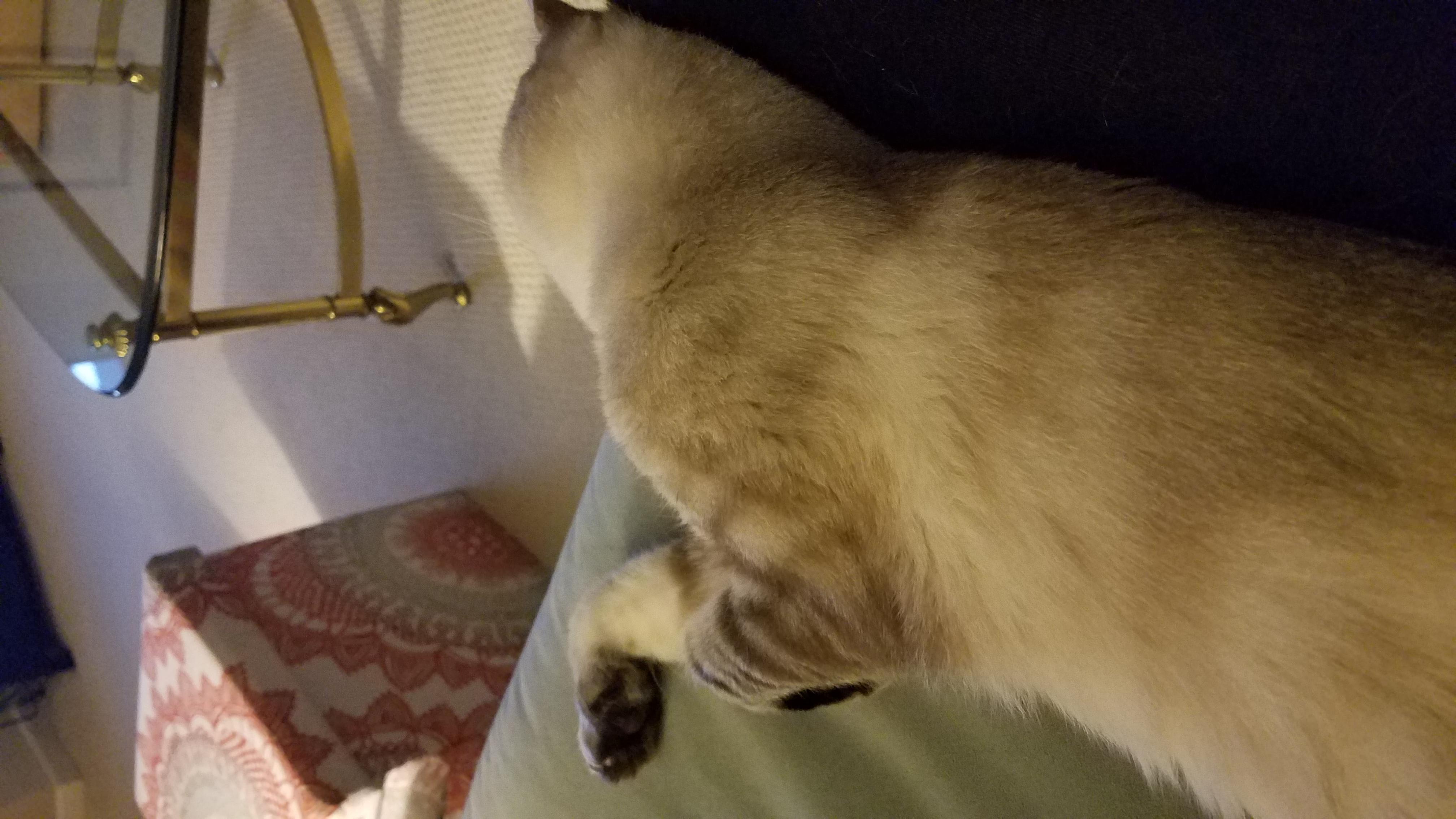 Question details sensitive content