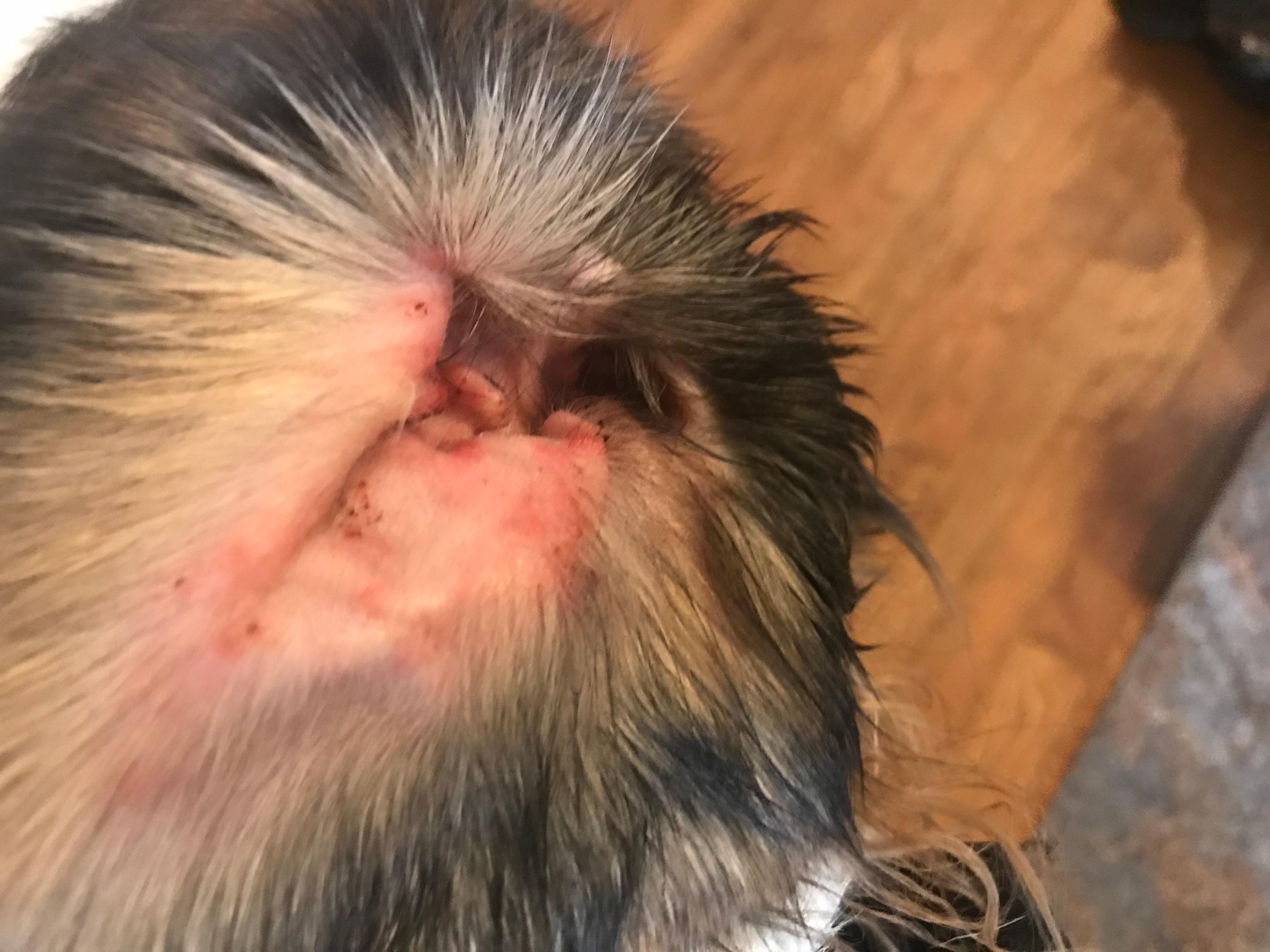 Question details sensitive content