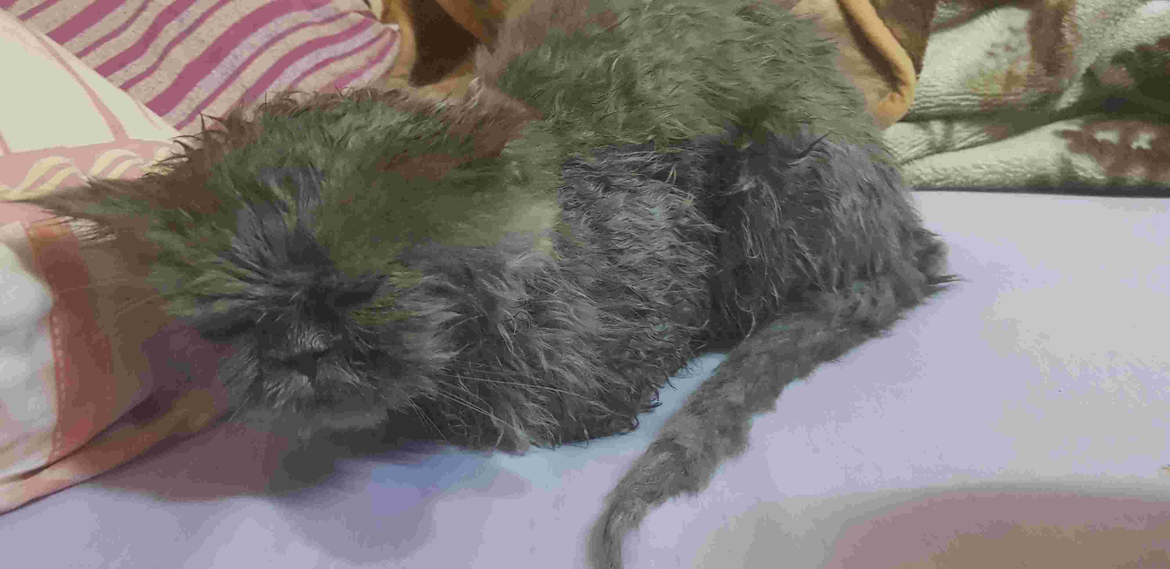 Question details sensitive content