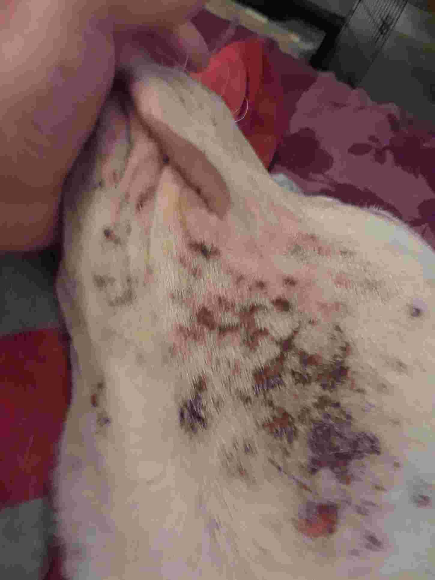 Question details sensitive content