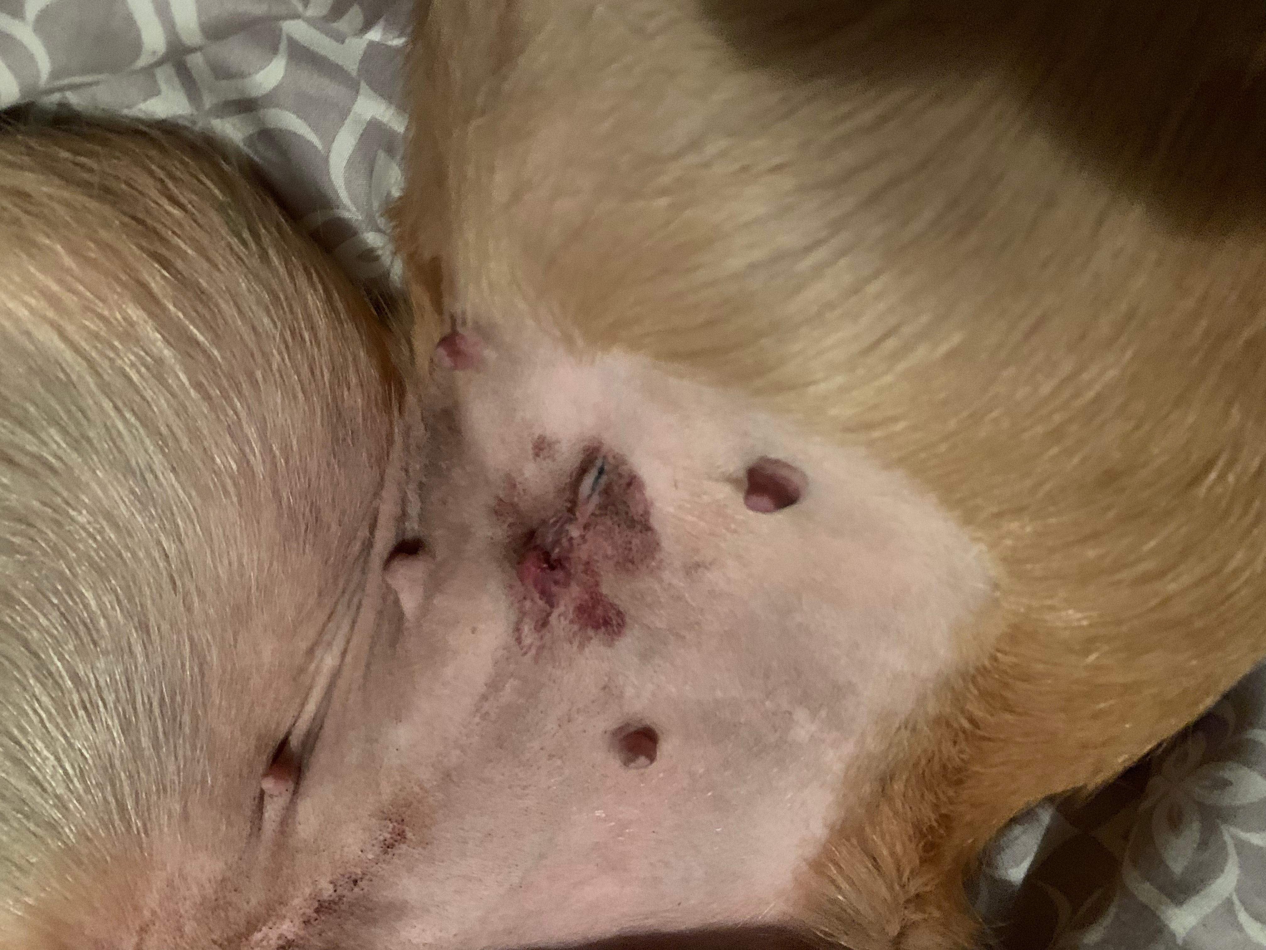 Question details sensitive content