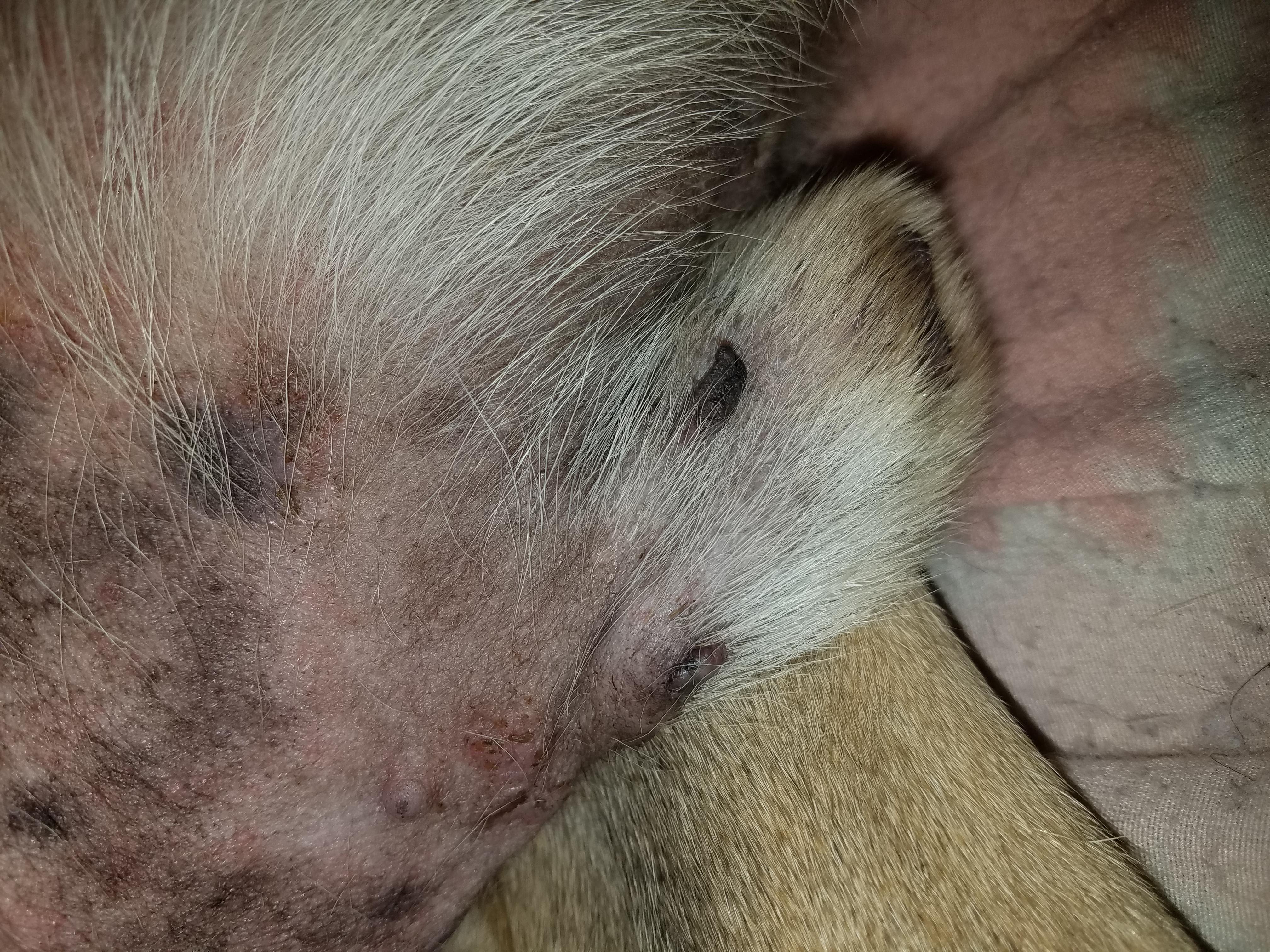 Question details sensitive content