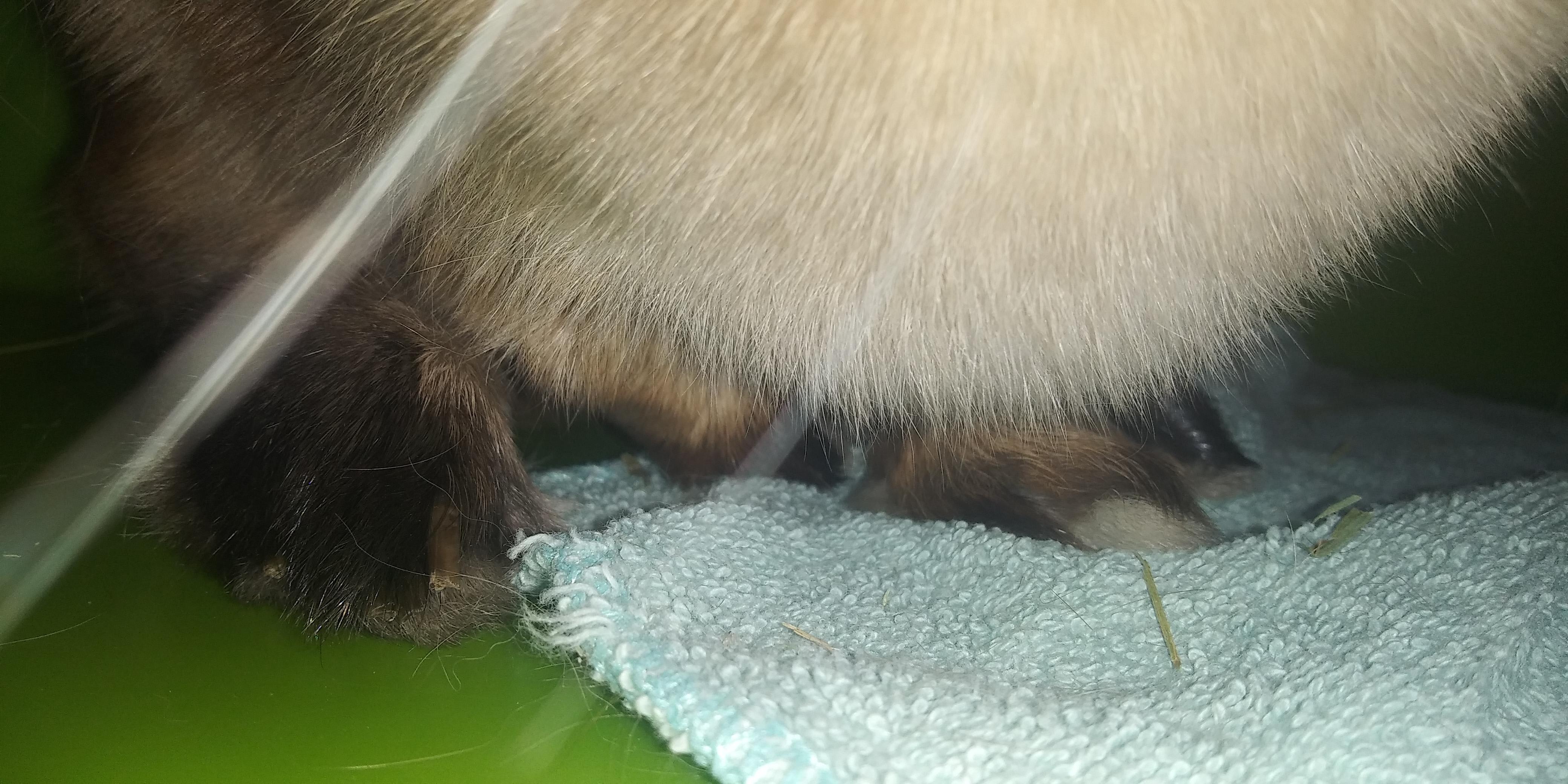 Question details sensitive content