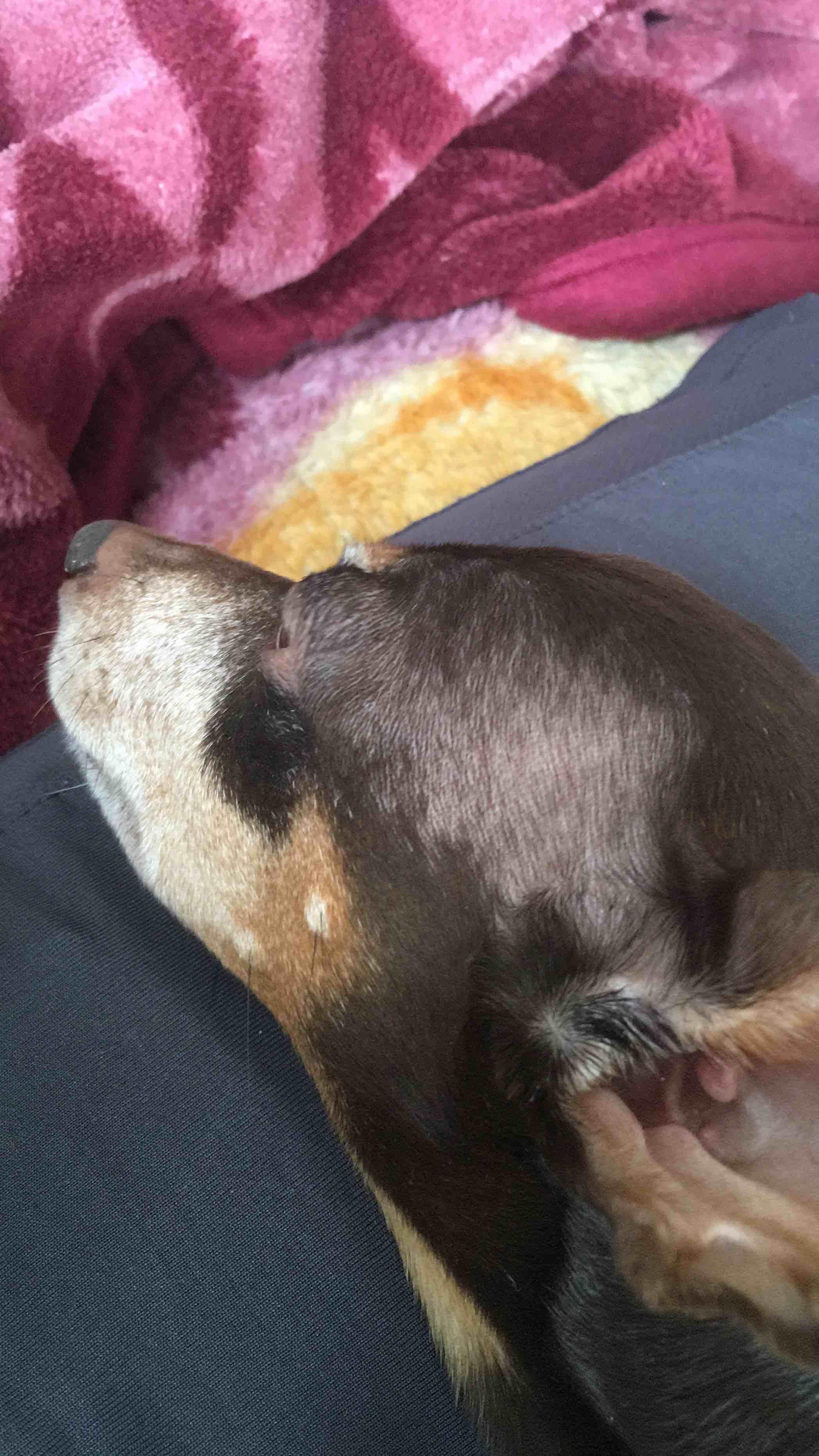 Question details sensitive content