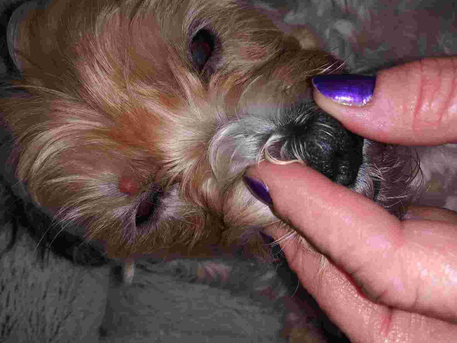 Question details sensitive content