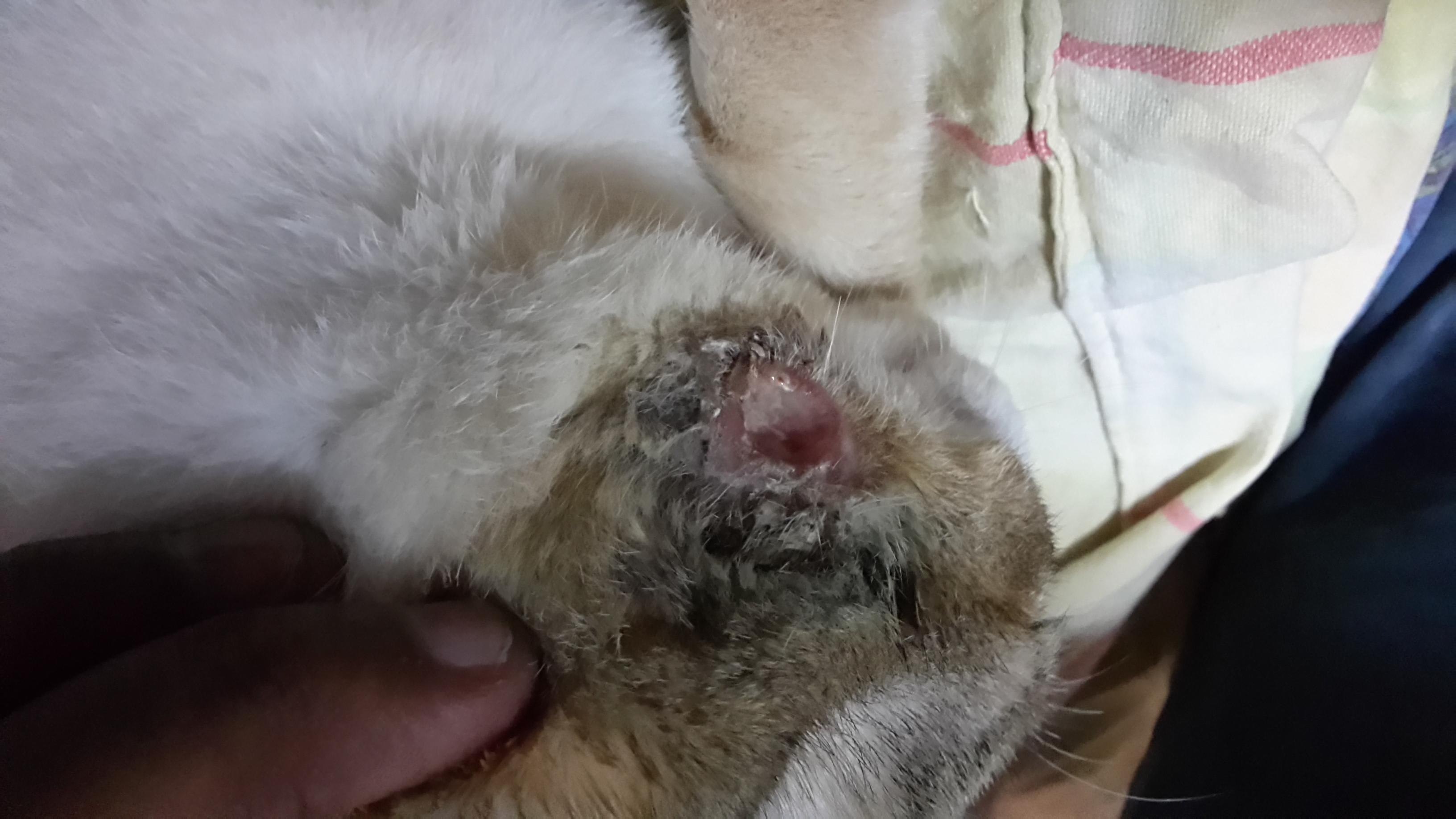 Question details sensitive content