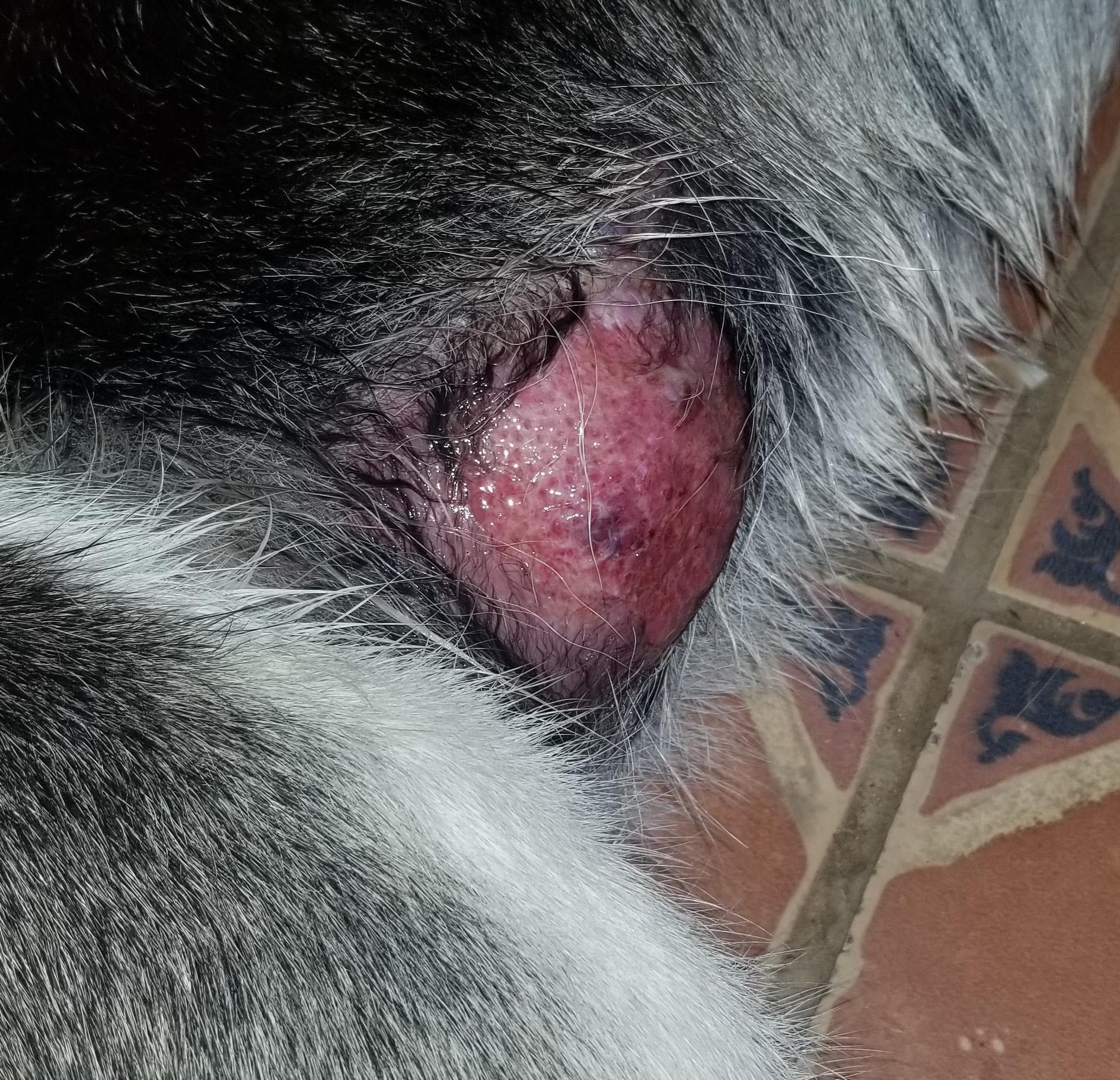 Question details sensitive content