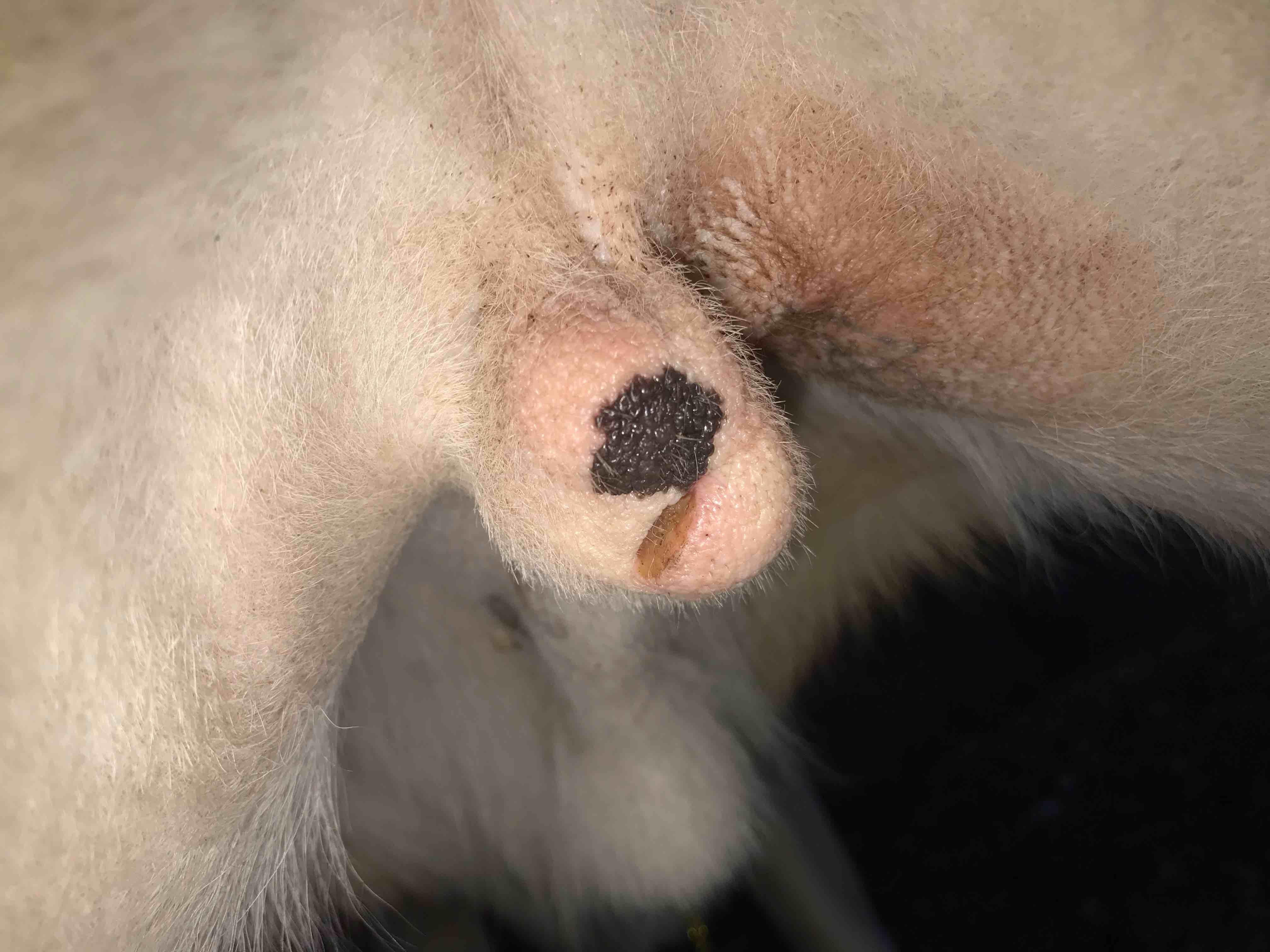 Question details sensitive content