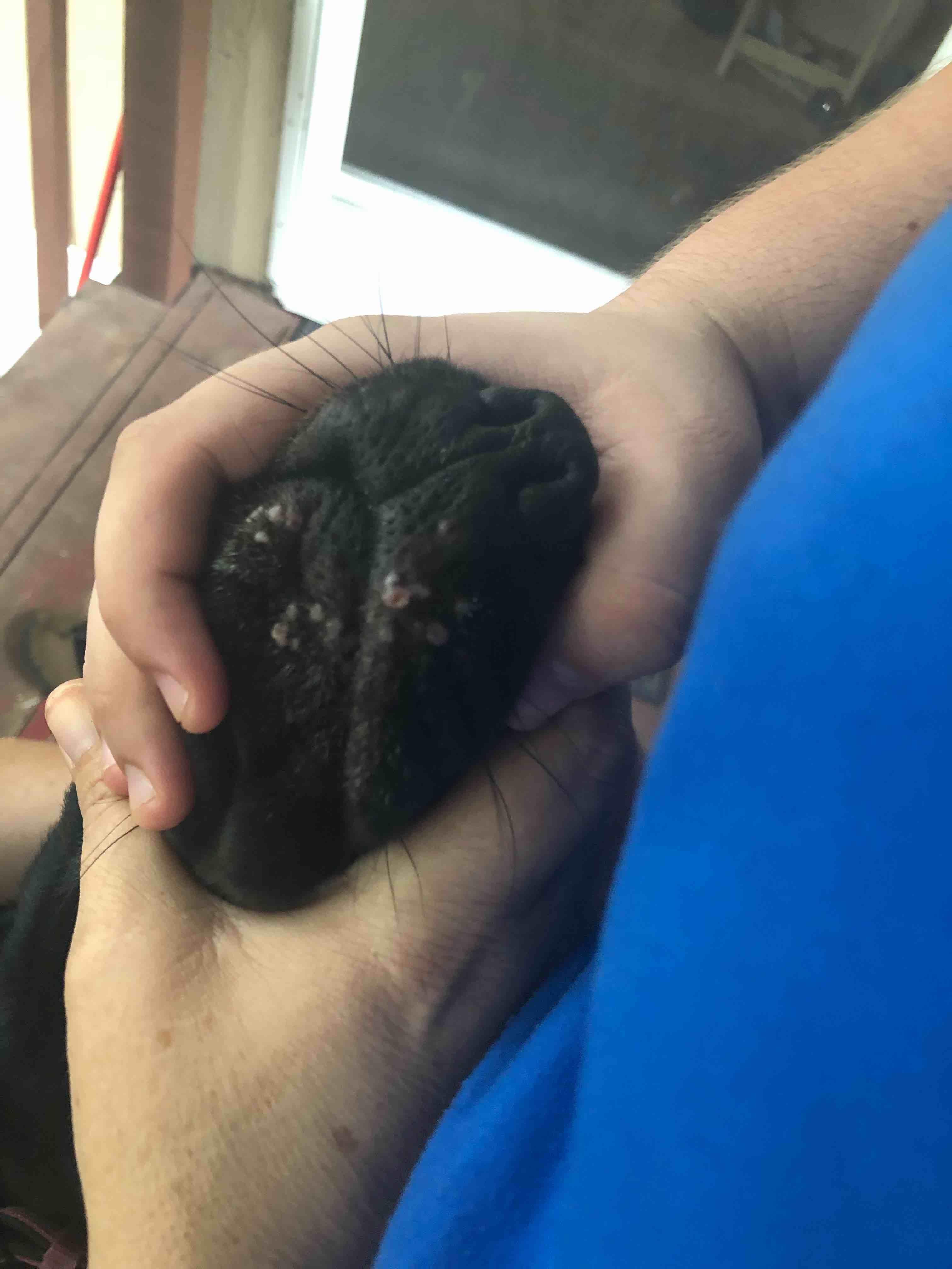 Question details sensitive content