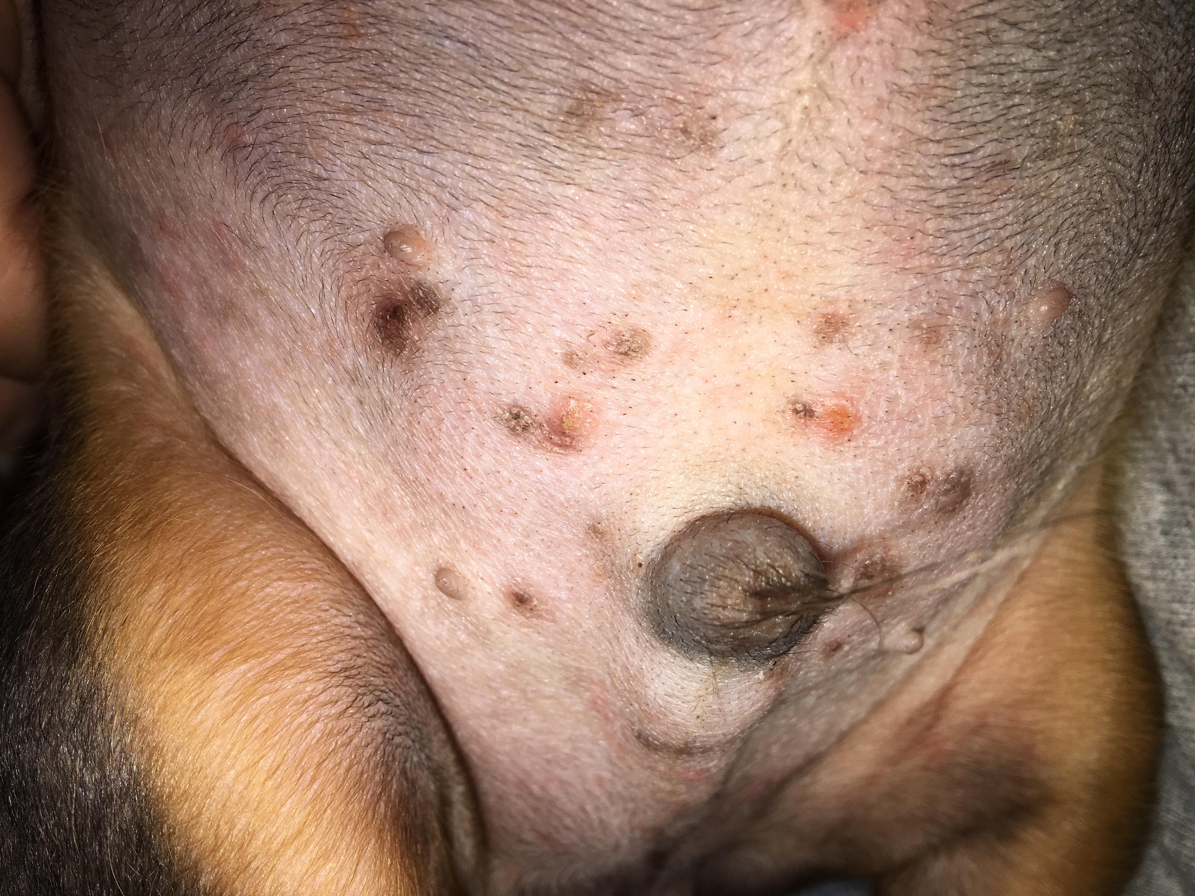 Question details sensitive content