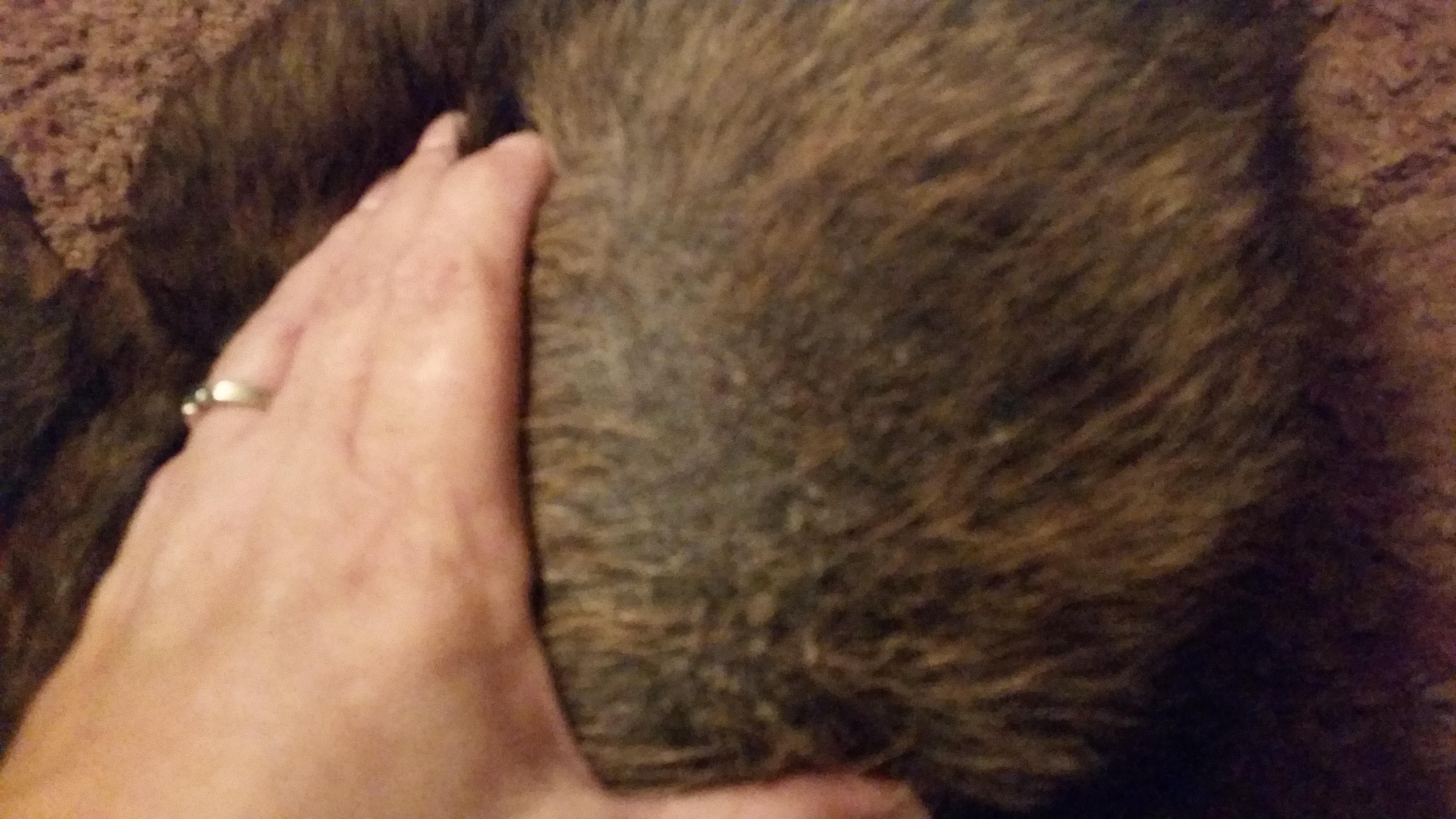 Question details sensitive content