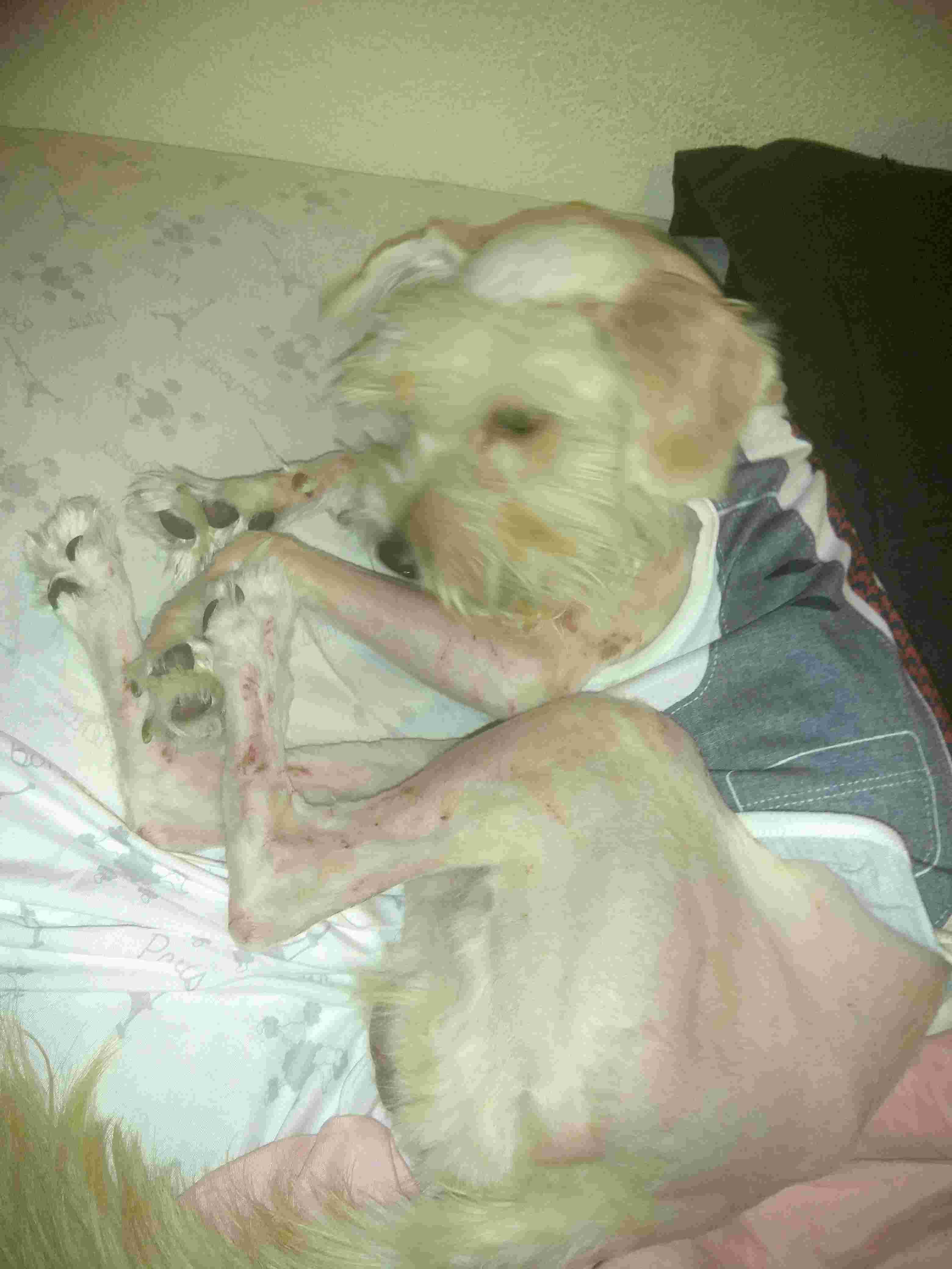 Question details sensitive content