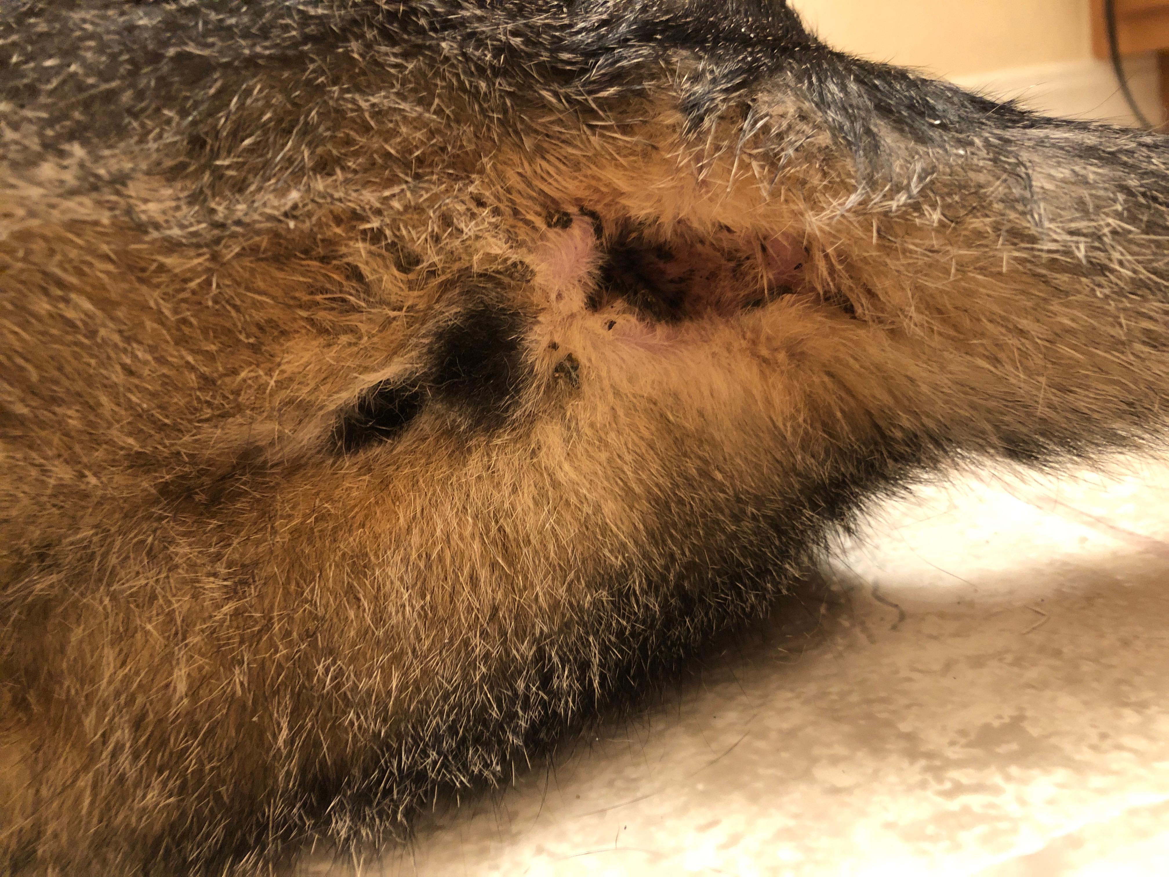 Question details sensitive content