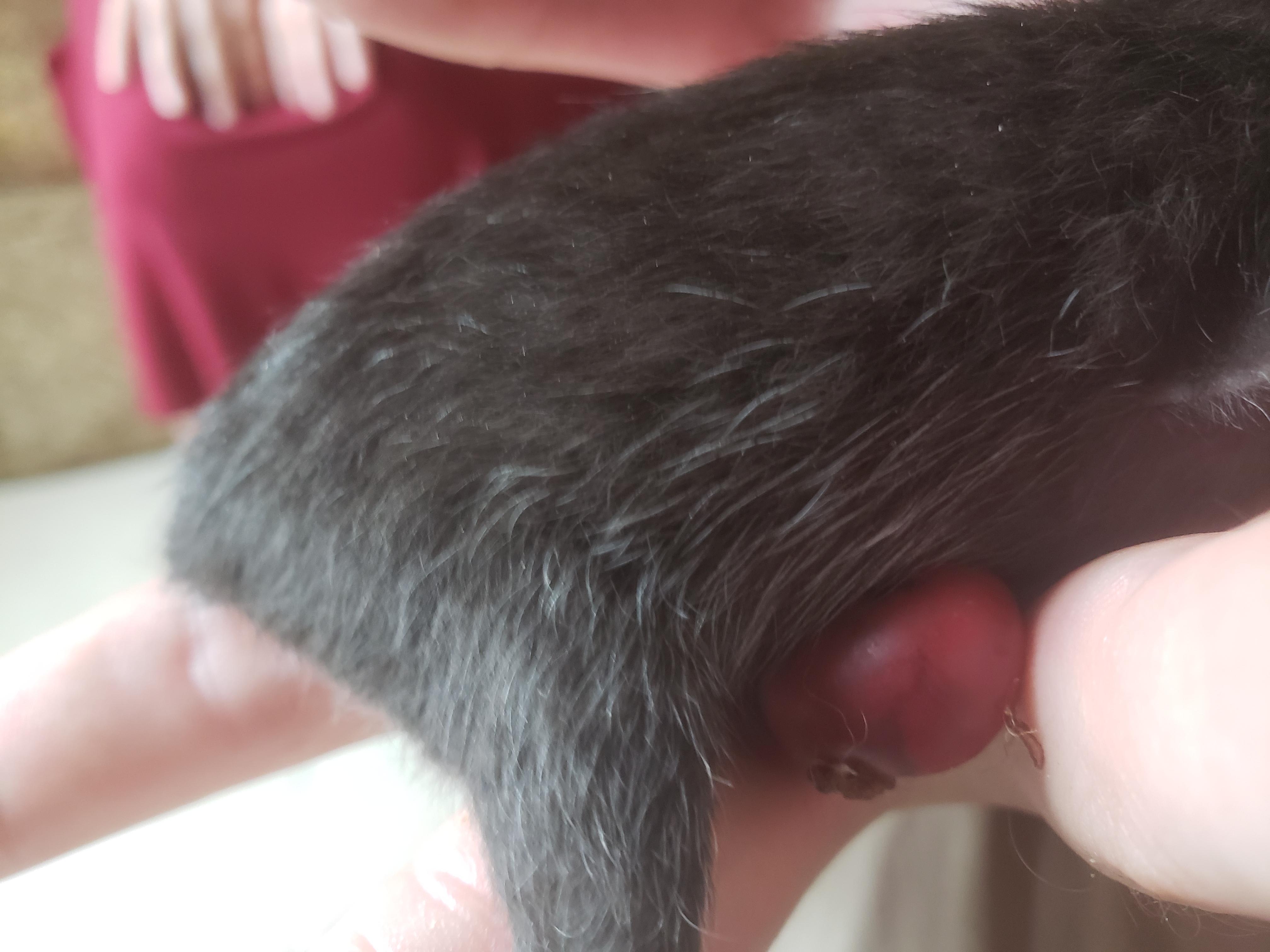 Question details sensitive content