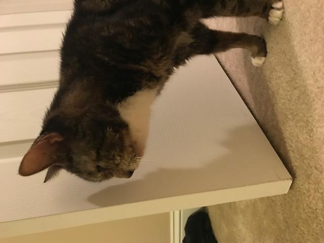 Question details sensitive content