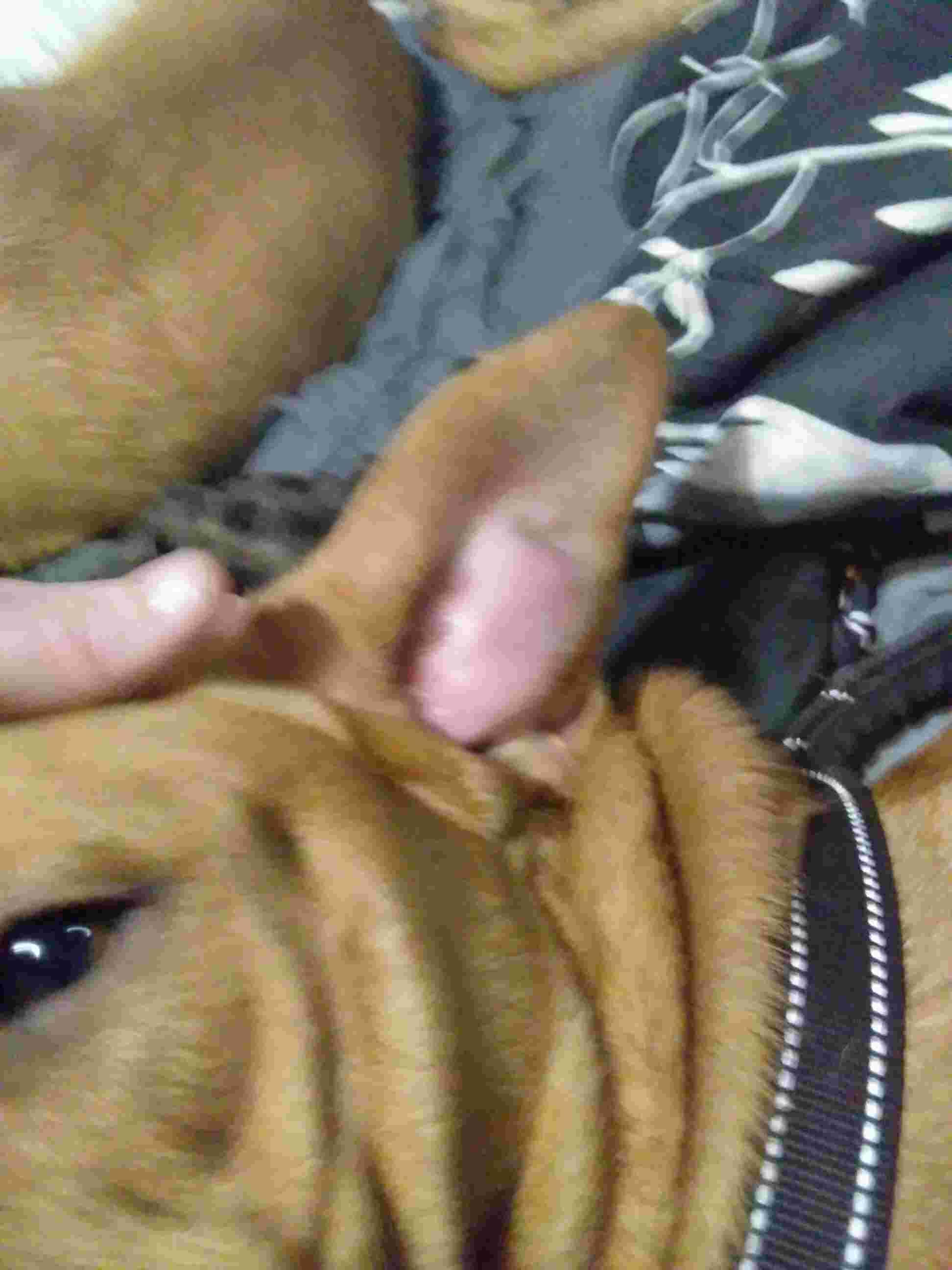 Question details sensitive content