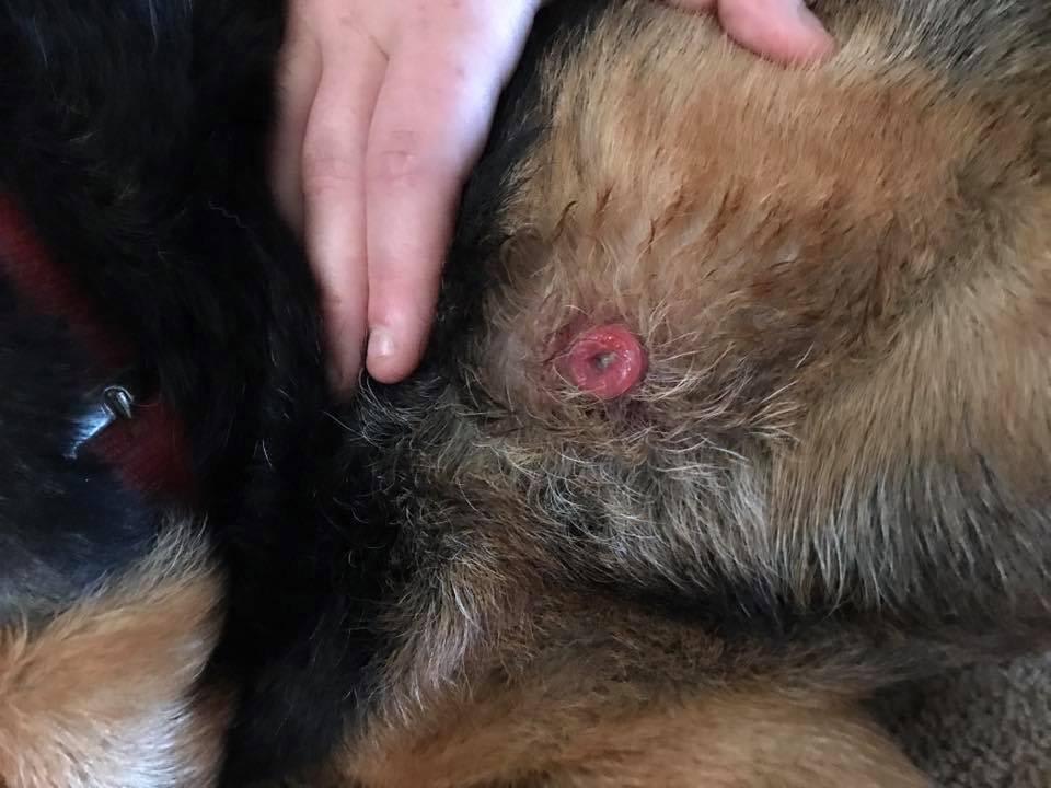 Question details sensitive content