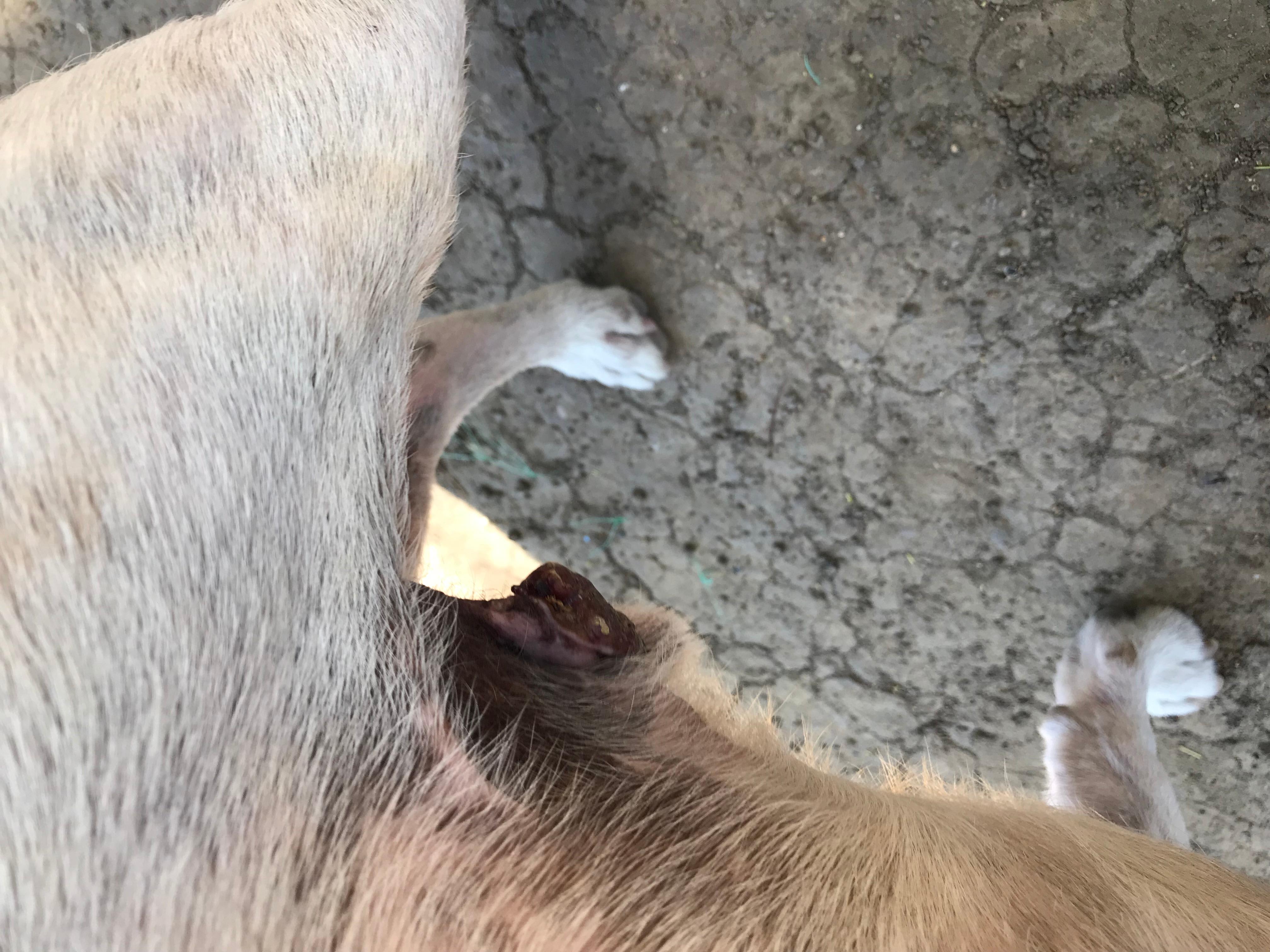 Question details sensitive content