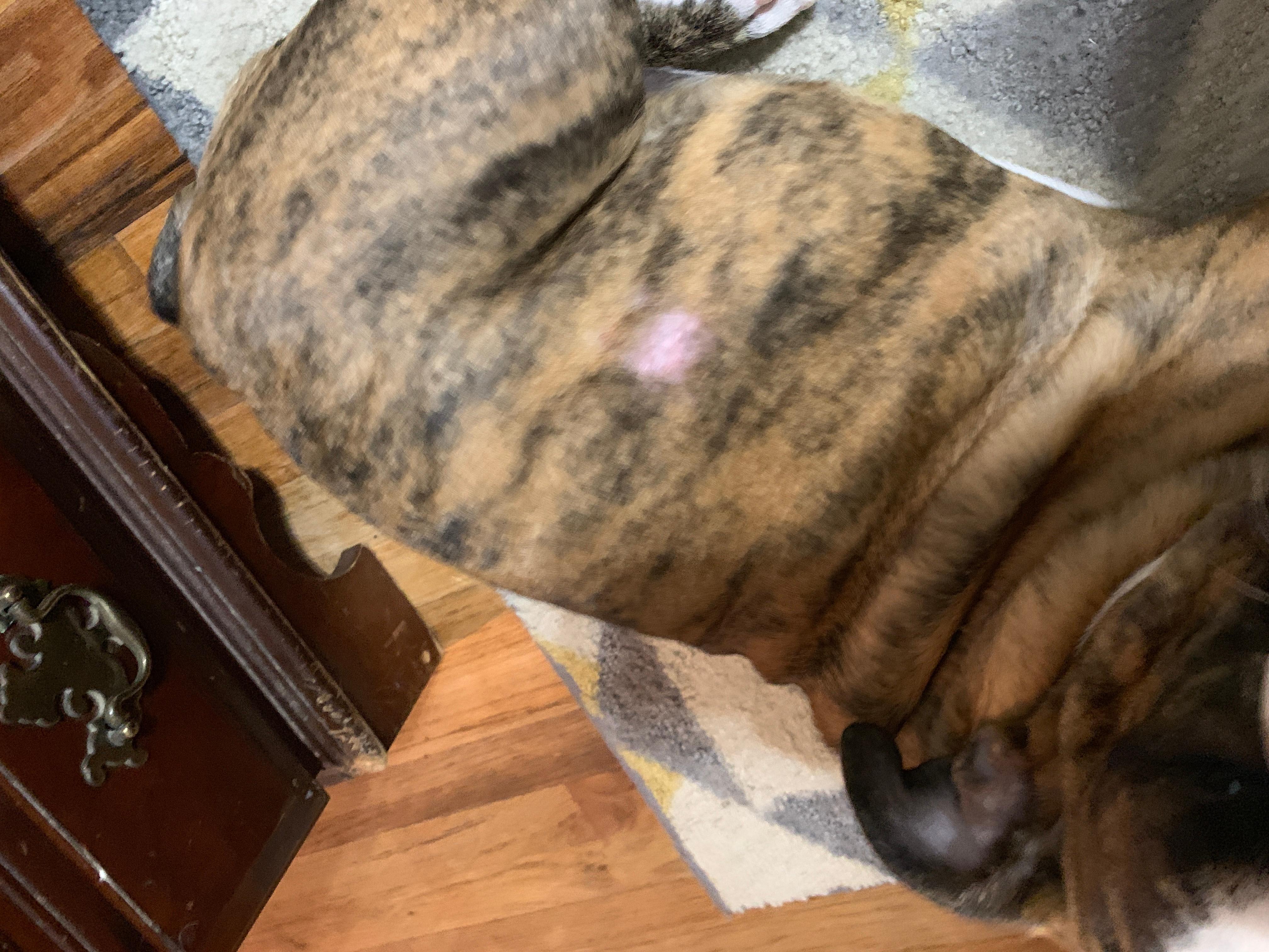 Question details sensitive content