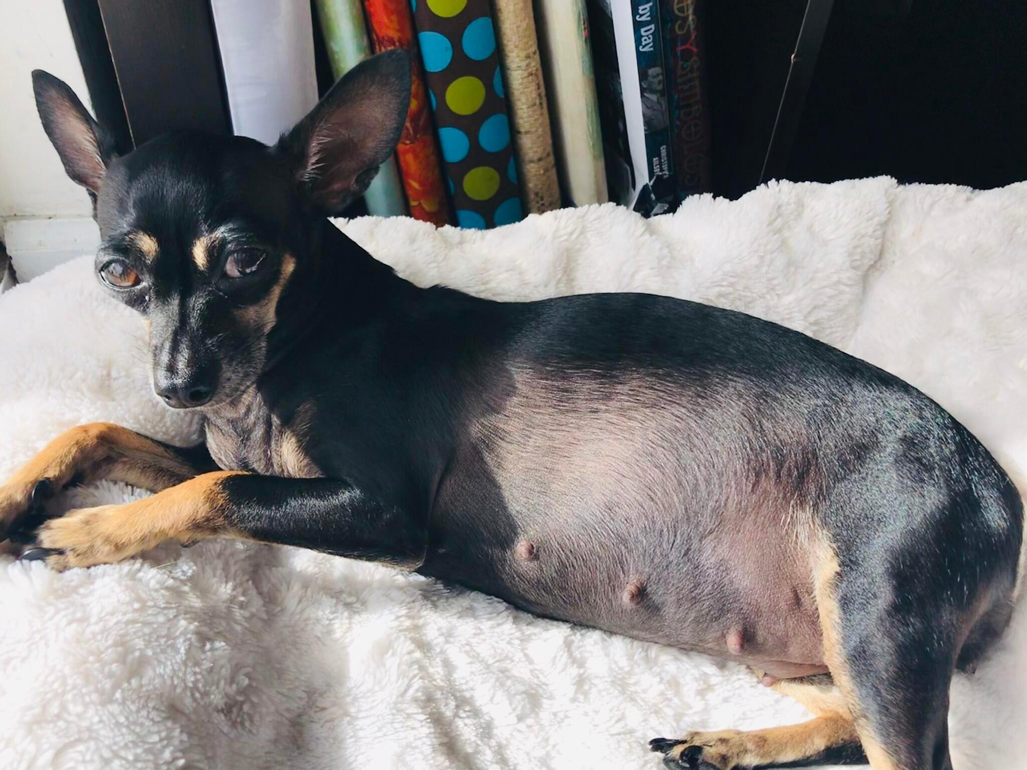 Question details sensitive content