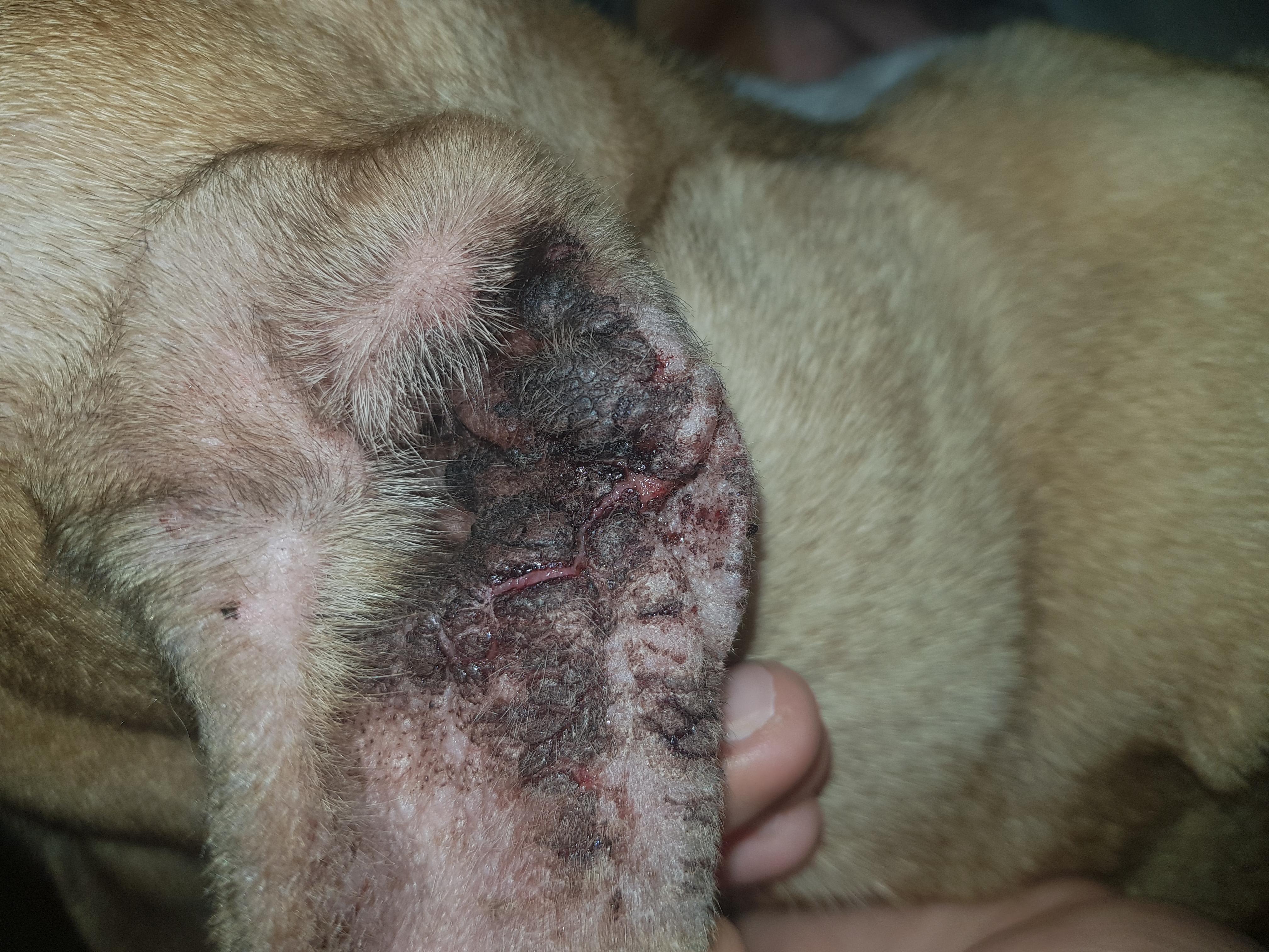 Question details sensitive content